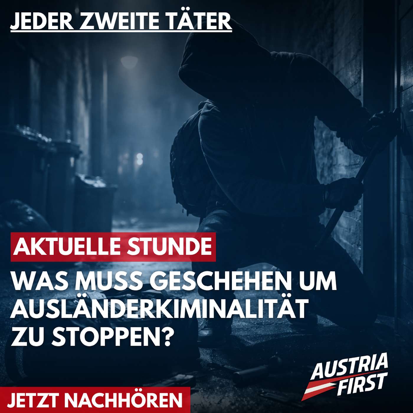 Was tun gegen die hohe Ausländerkriminalität? – Aktuelle Stunde episode artwork