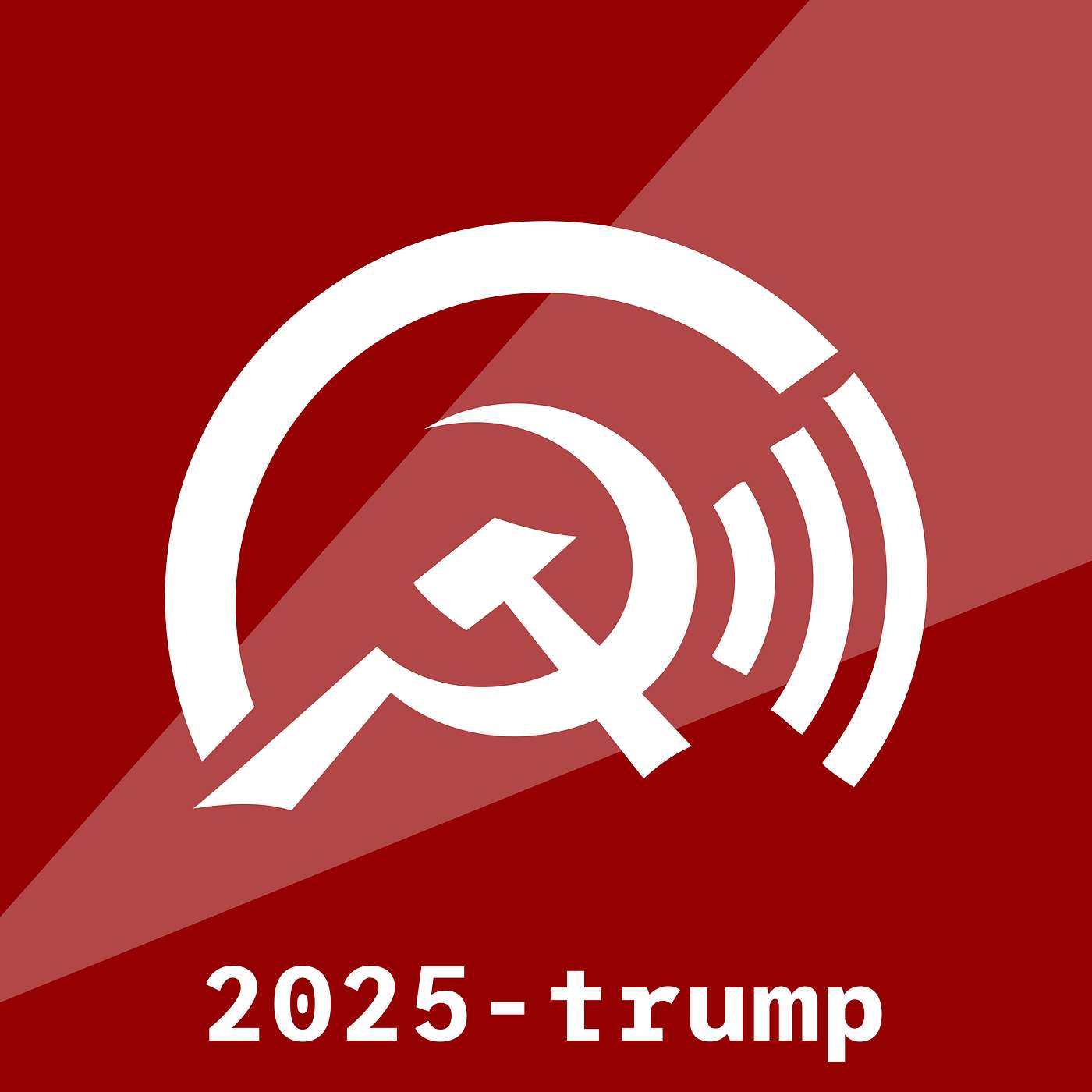 Trump Presidency: Workers, Brace for Impact! A discussion with Comrade Erica from the SL/US episode artwork