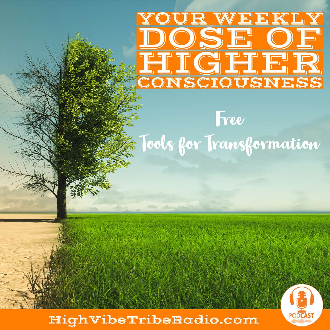 This Month's FREE Tool for Transformation- Discover How to Diagnose & Heal Yourself with Medical Intuition