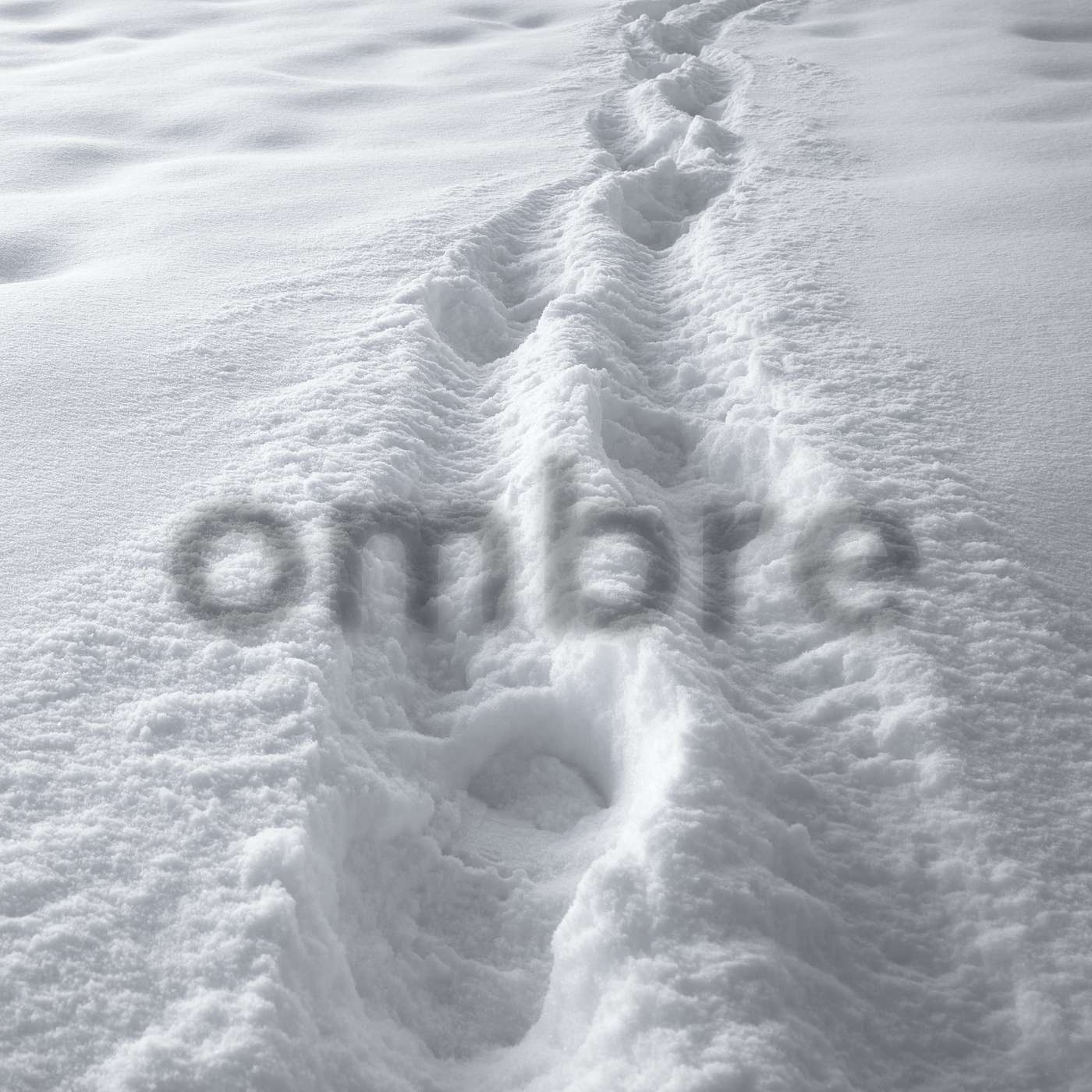 Ombre