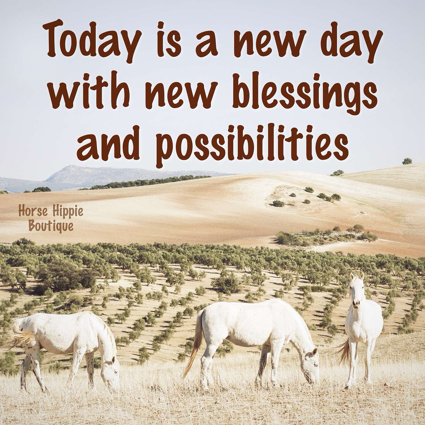 What Will You Do With Today?