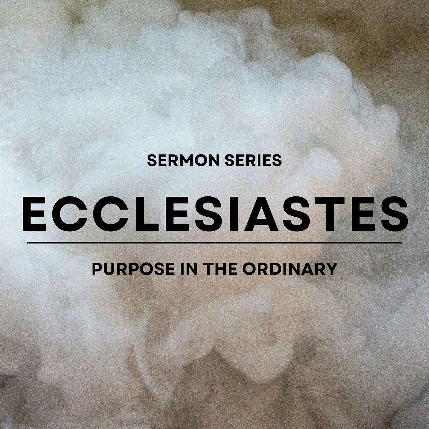 Renewal Fellowship Sermons
