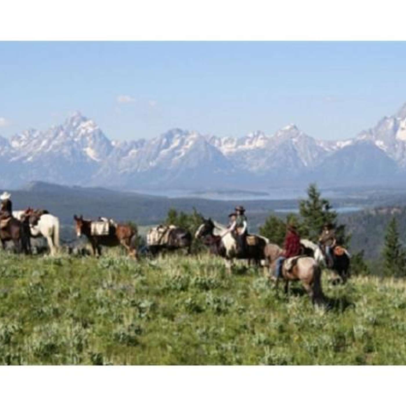 CALLING ALL COWBOYS for FEB 13th on EQUESTRIAN LEGACY RADIO