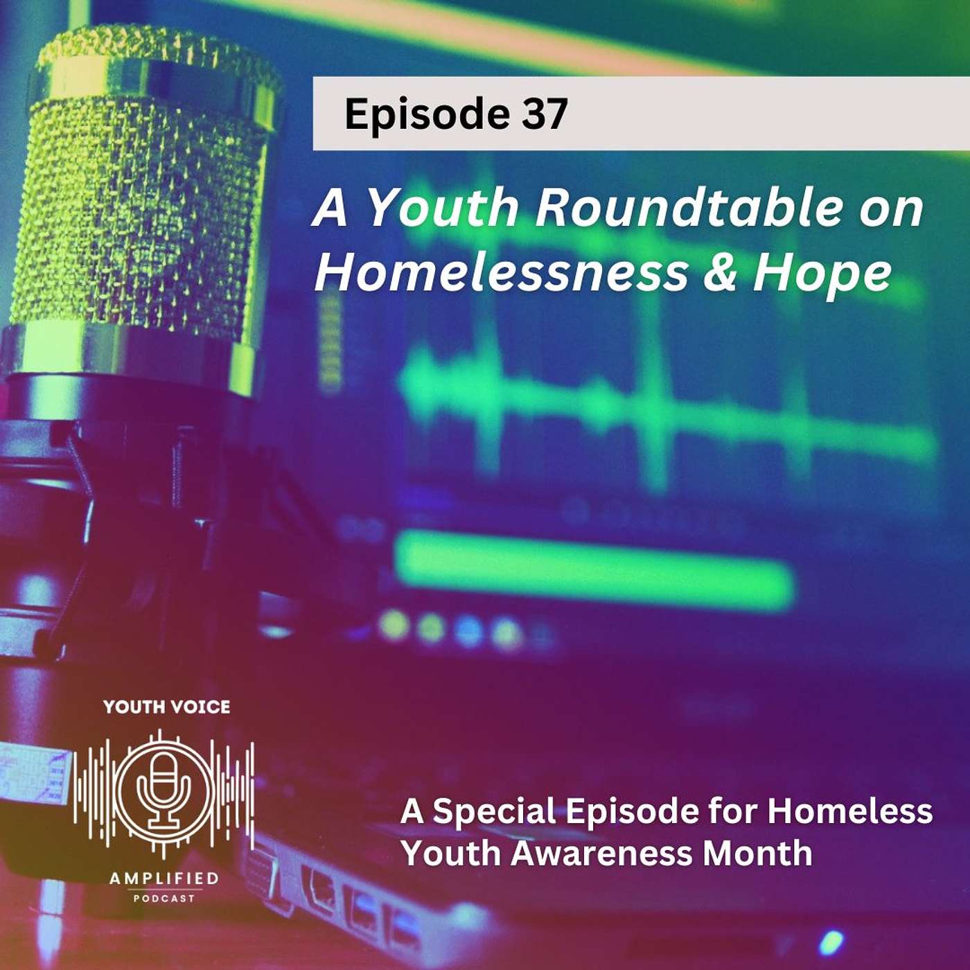 A Youth Roundtable on Homelessness & Hope A Youth Roundtable on Homelessness & Hope