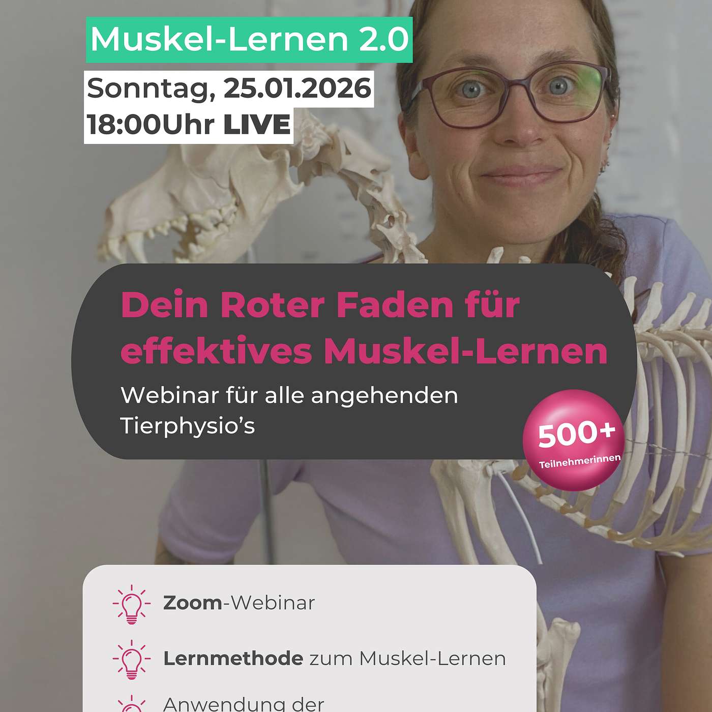 Anatomiewissen für Hund & Pferd – ohne Blabla