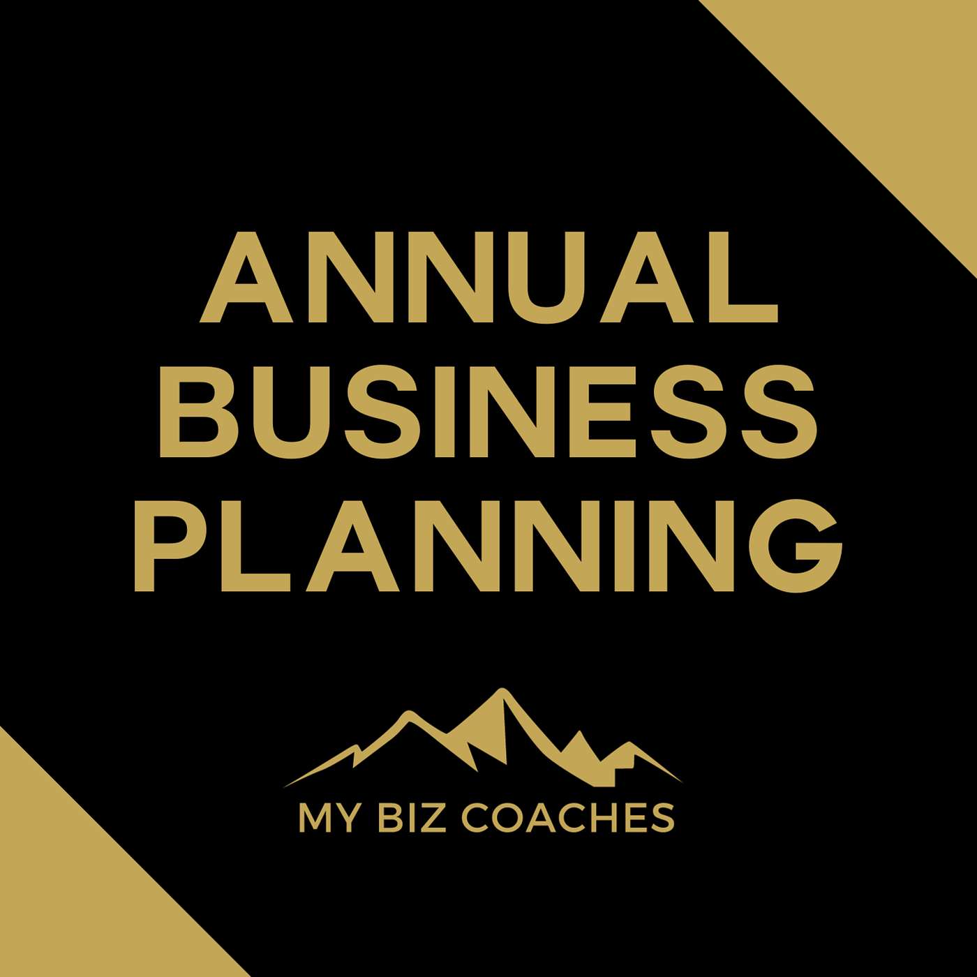 Annual Business Planning (Part 1)