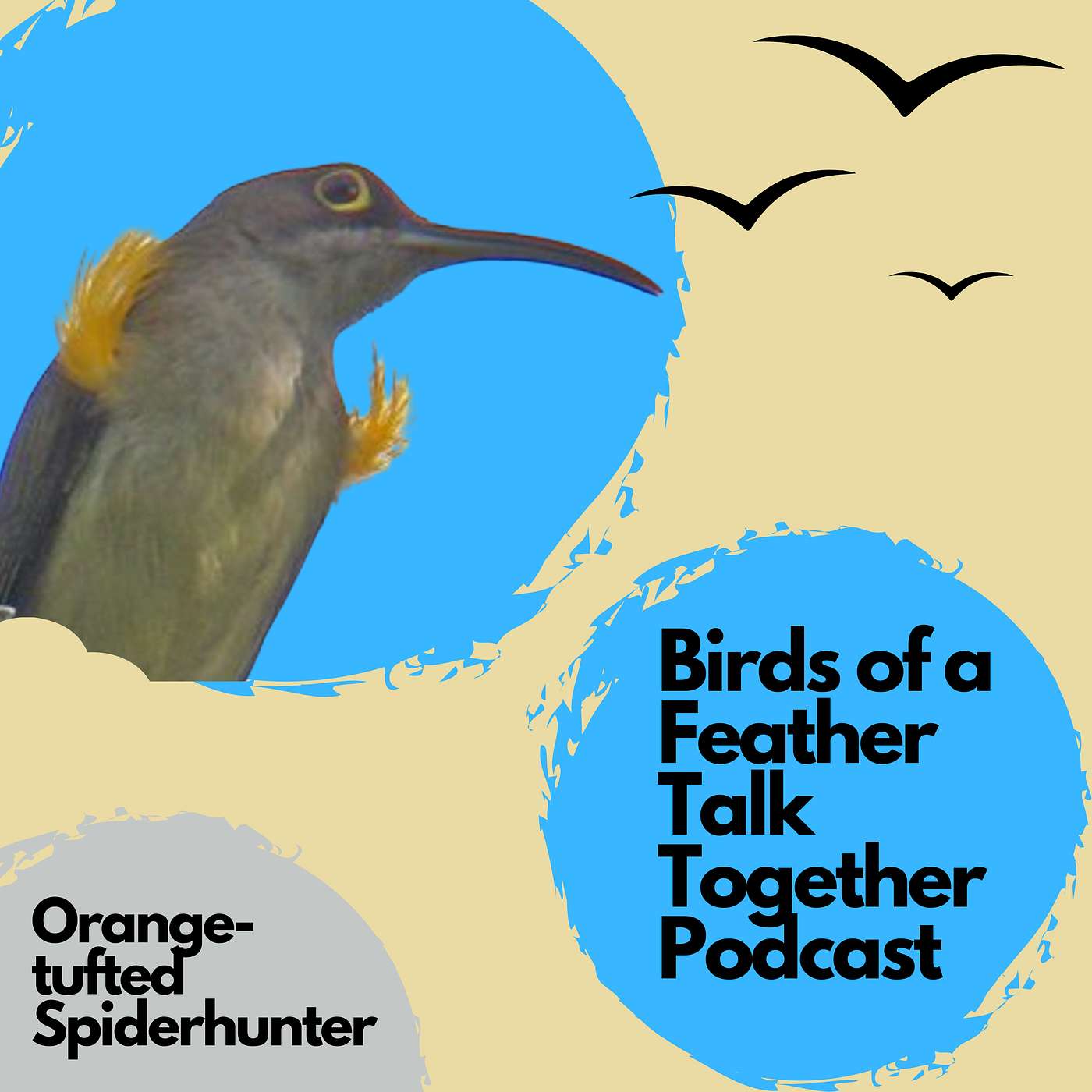 Birds of a Feather Talk Together