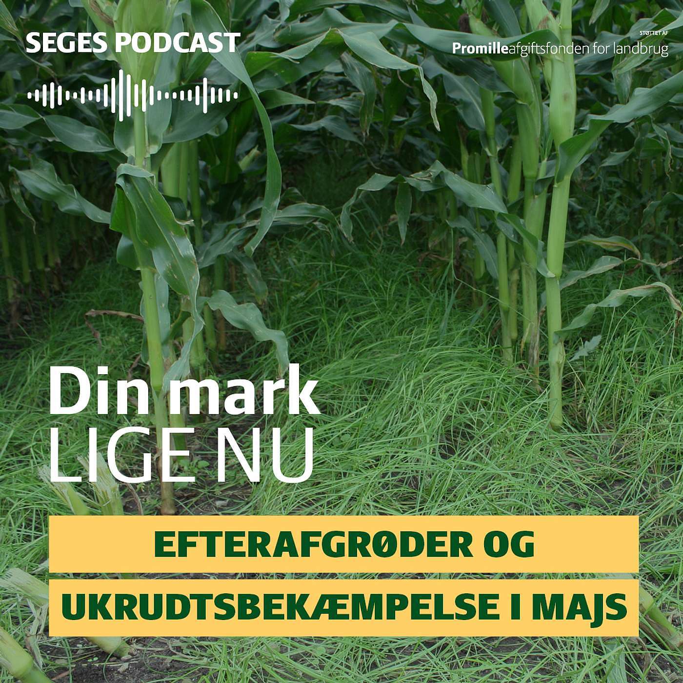 SEGES Økonomi og virksomhedsledelse