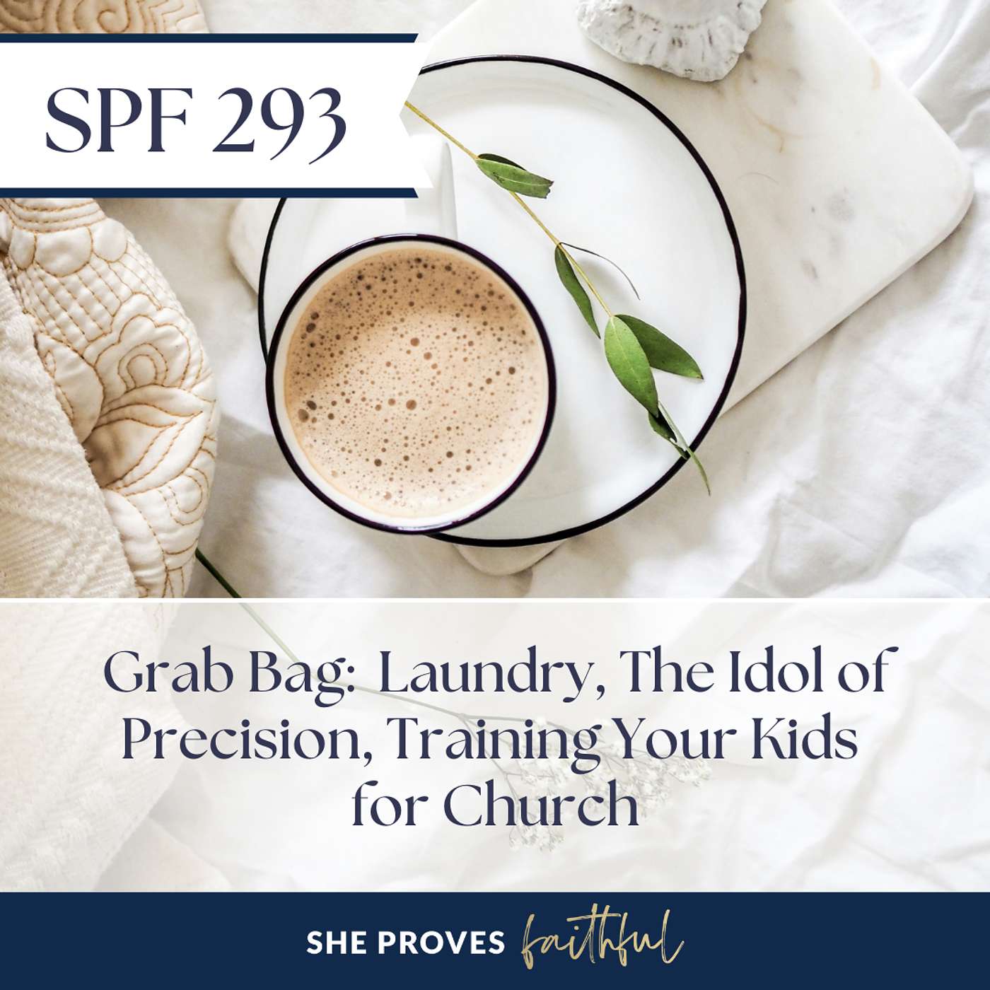 SPF 293: Grab Bag: Laundry, The Idol of Precision, Training Your Kids for Church