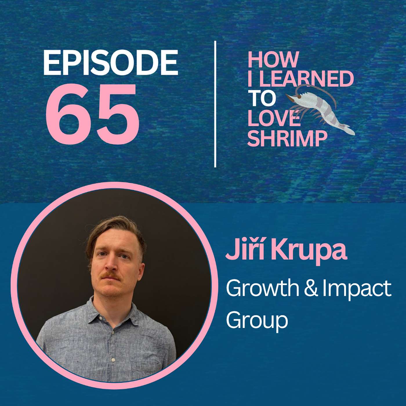 Jiri Krupa (& Jesse Marks) on using fundraising to win campaigns episode artwork