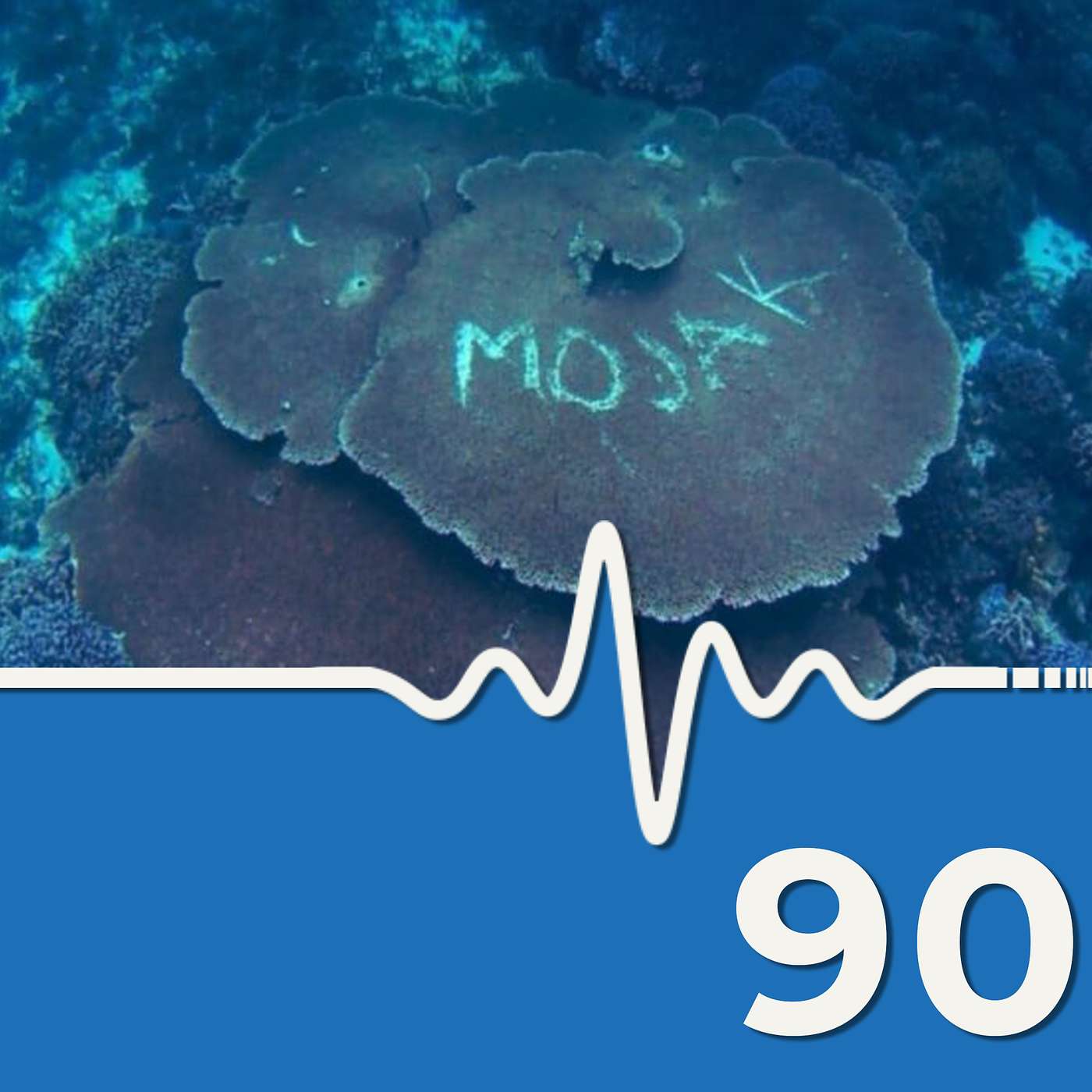 Divers Graffiti Coral #scuba #news #podcast