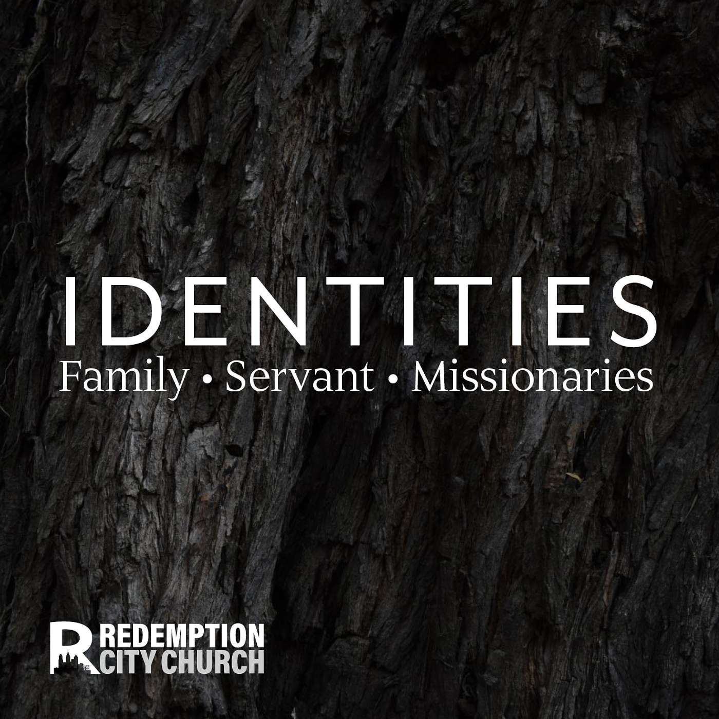 Baptized in the name of the Holy Spirit, we are missionaries. Acts 1:1-8