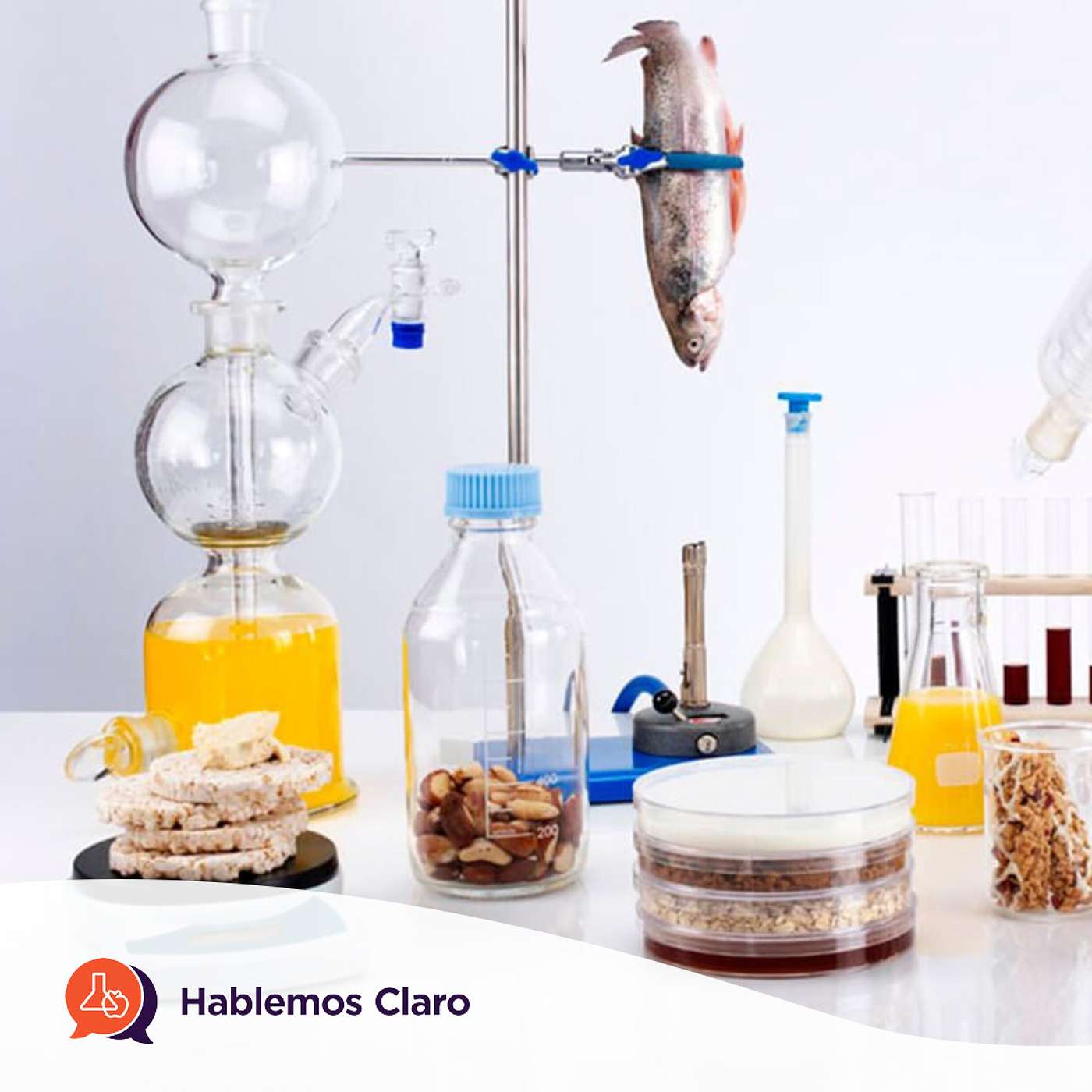 Tecnologías alternativas y fuentes para la producción de alimentos.