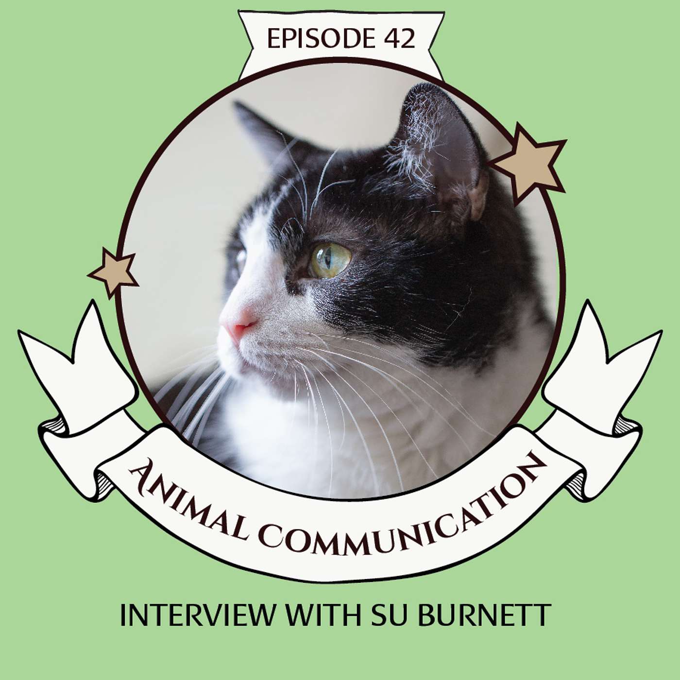 Animal Communication with Su Burnett - Talk to your beloved Cats, Dogs and other Pets!