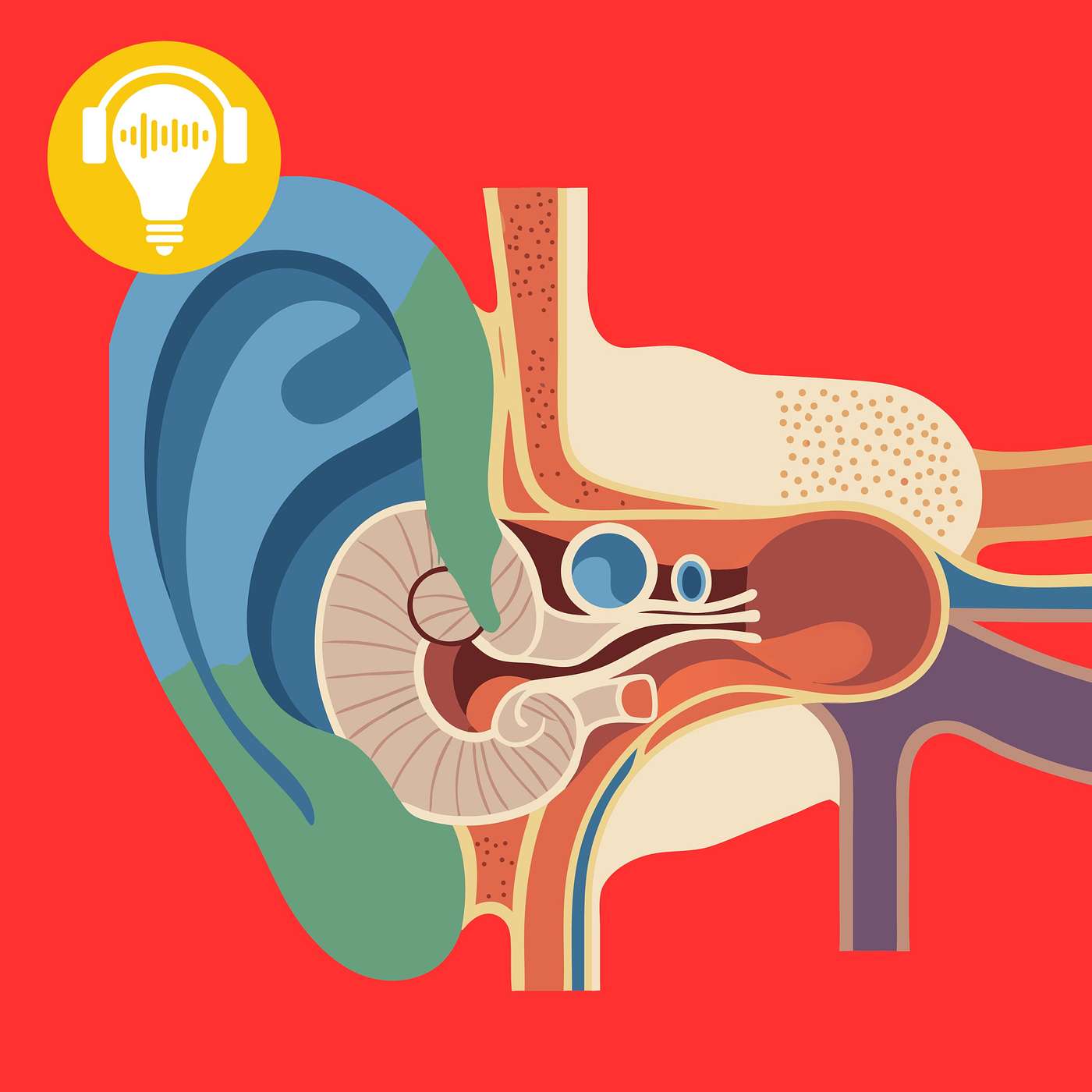 #13 - Human Hearing