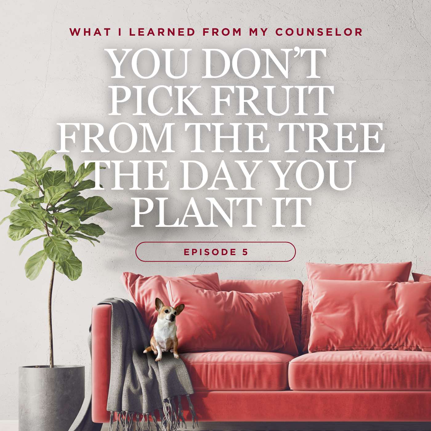 What I Learned From My Counselor - You don't pick fruit from the tree the day you plant it