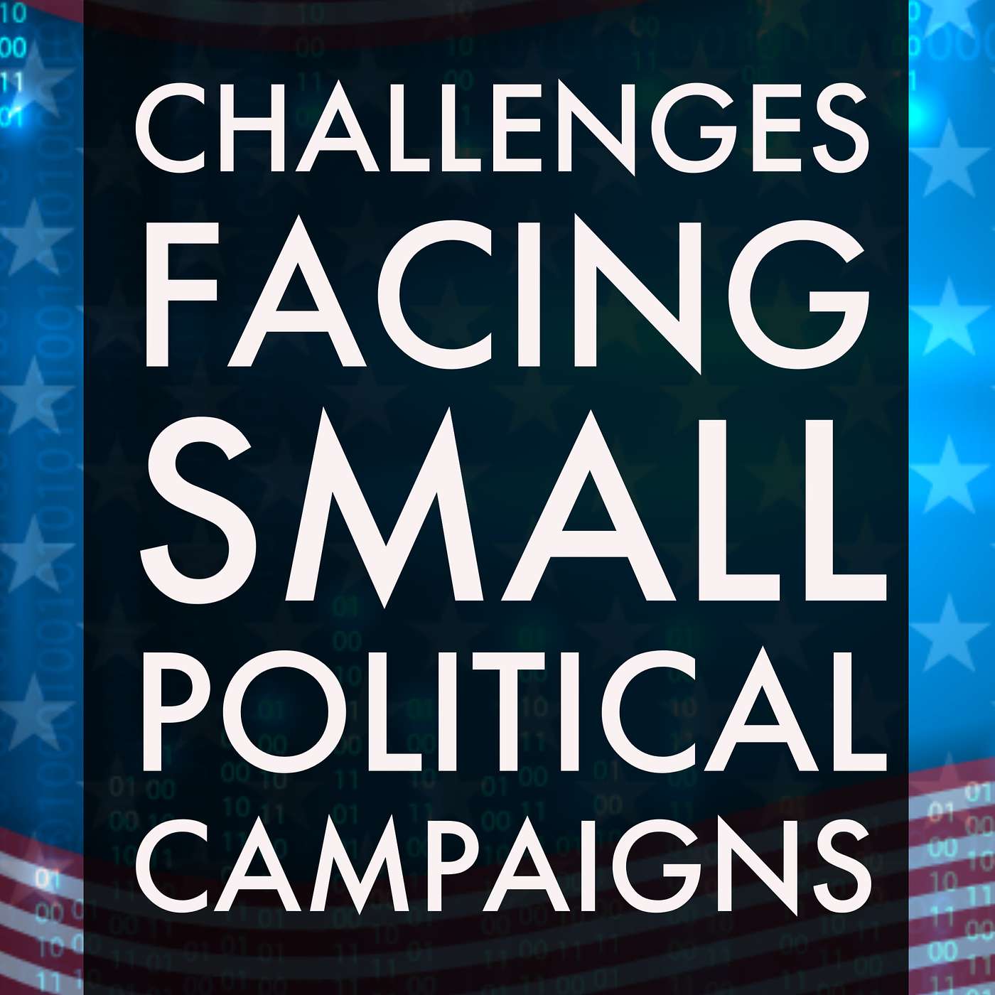 4 Challenges Facing Small Political Campaigns