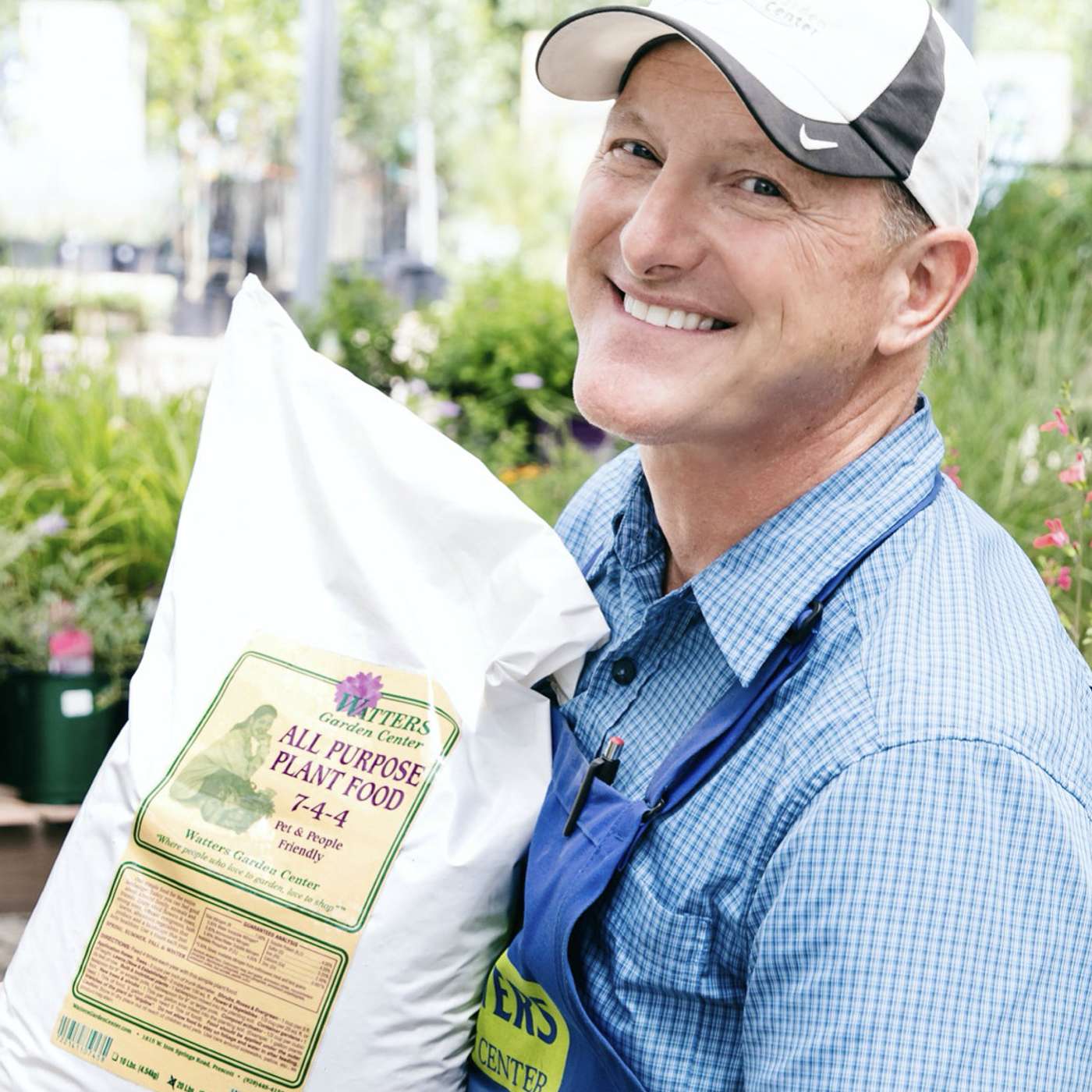 How to Correctly Feed the Summer Landscape for Monsoon Rain