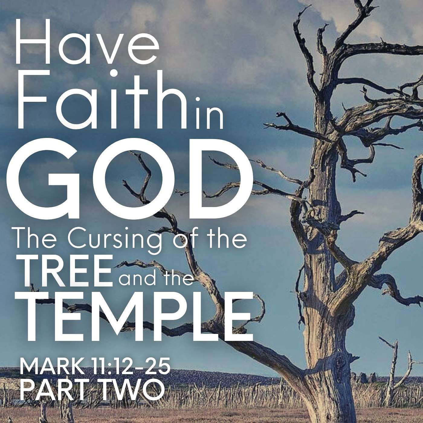 Have Faith in God: The Cursing of the Tree and the Temple, Part 2; Triumphal Entrance Sunday