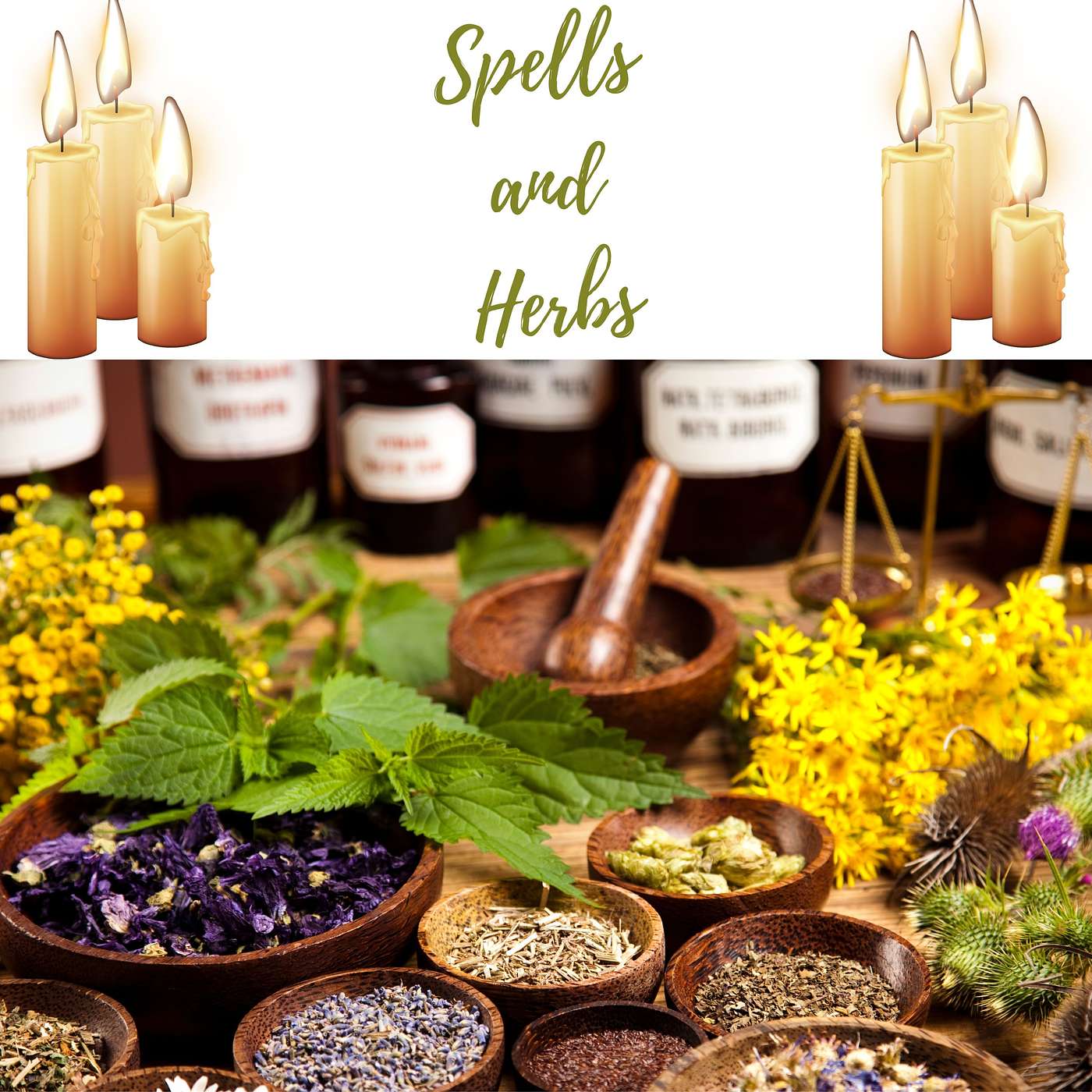 Herbs, Magic and Spells: How to Use Herbs in Spells episode artwork