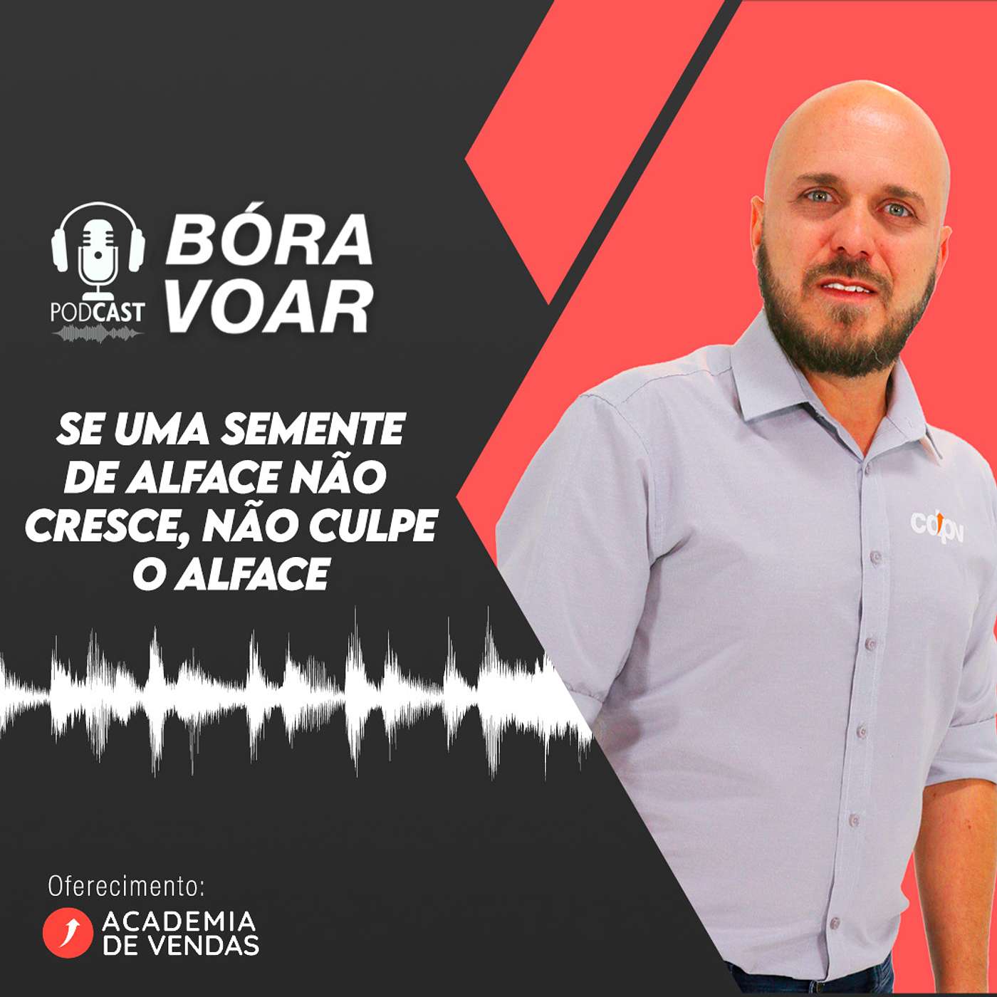 Se uma semente de alface não cresce, não culpe o alface