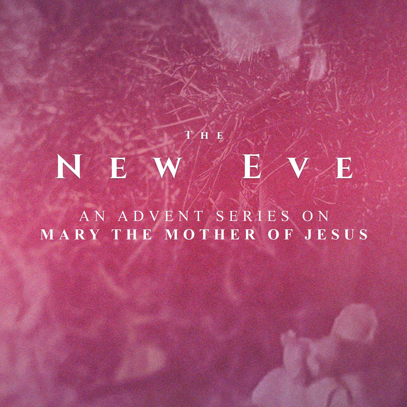 The New Eve | Luke 2:1-21 (Sunday, December 14, 2025)