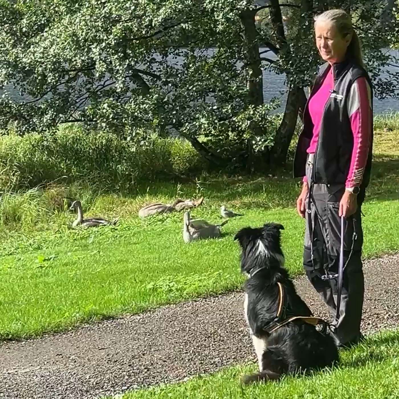 37 - Hva er egentlig systematisk desensitivisering? 37 - Hva er egentlig systematisk desensitivisering?