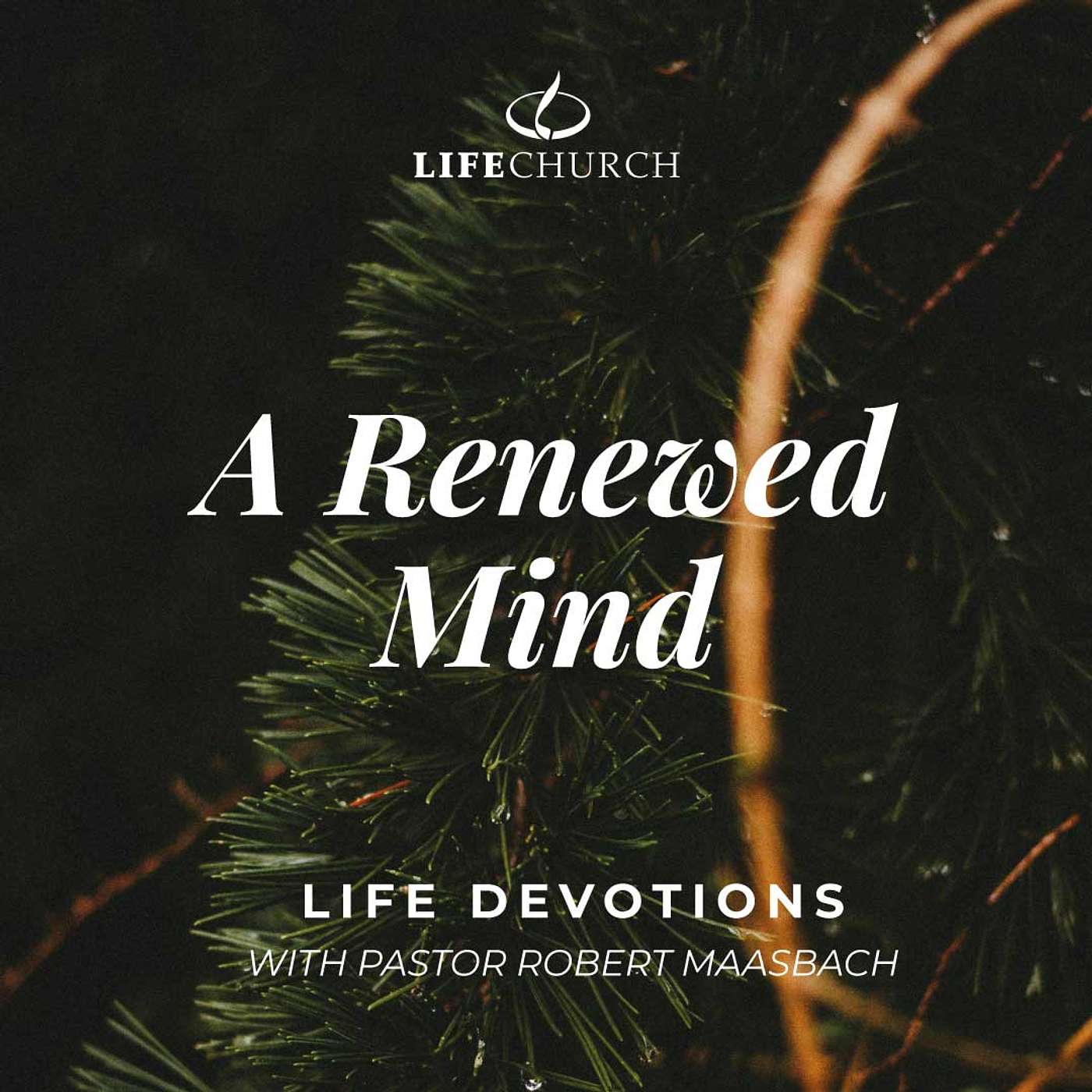 A Renewed Mind - 13.12.24