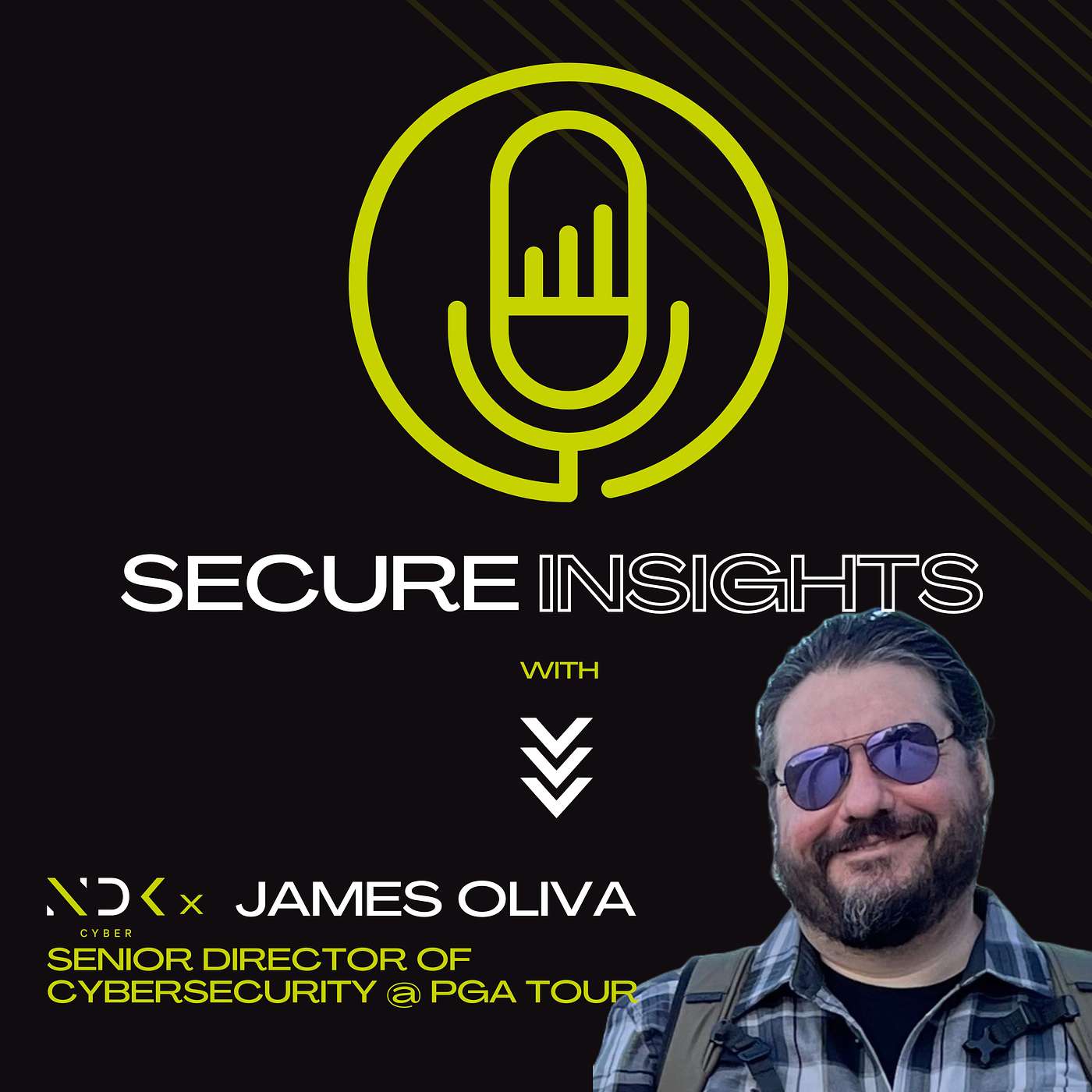 Secure Insights with NDK Cyber