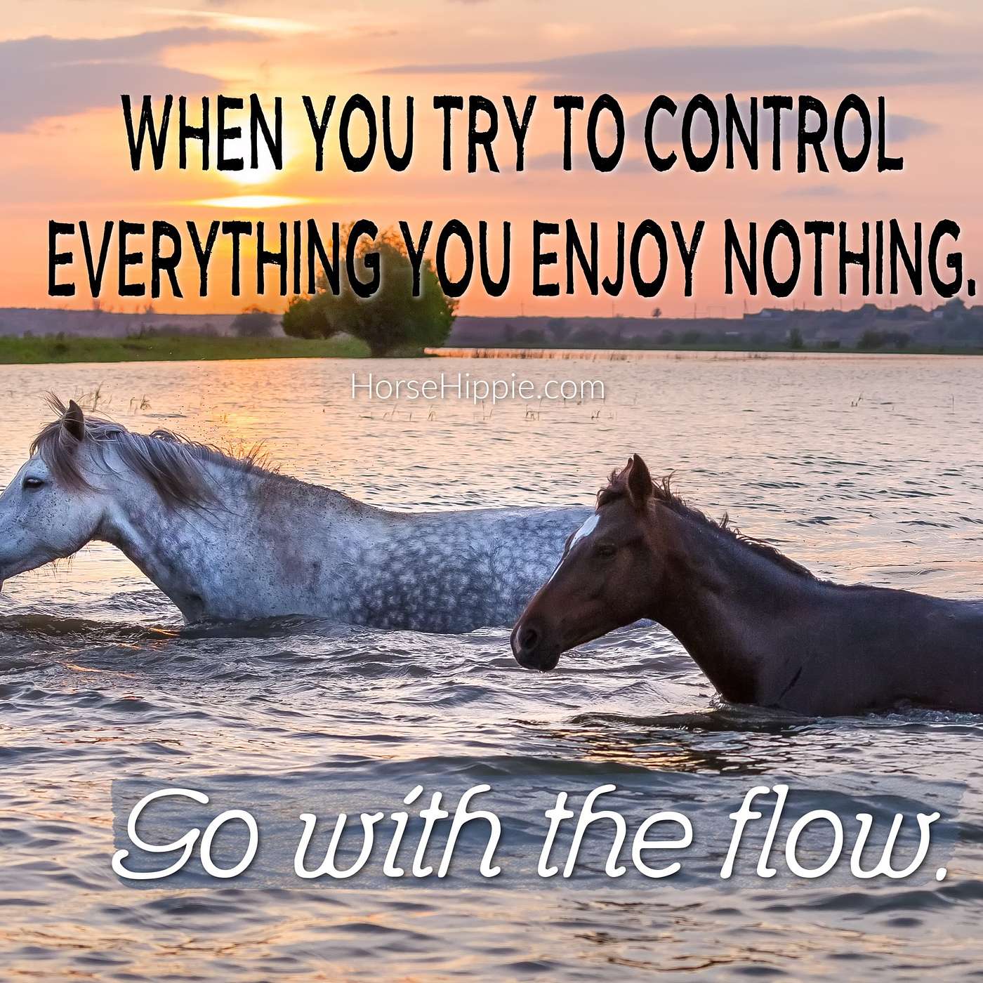 Learning to Flow episode artwork