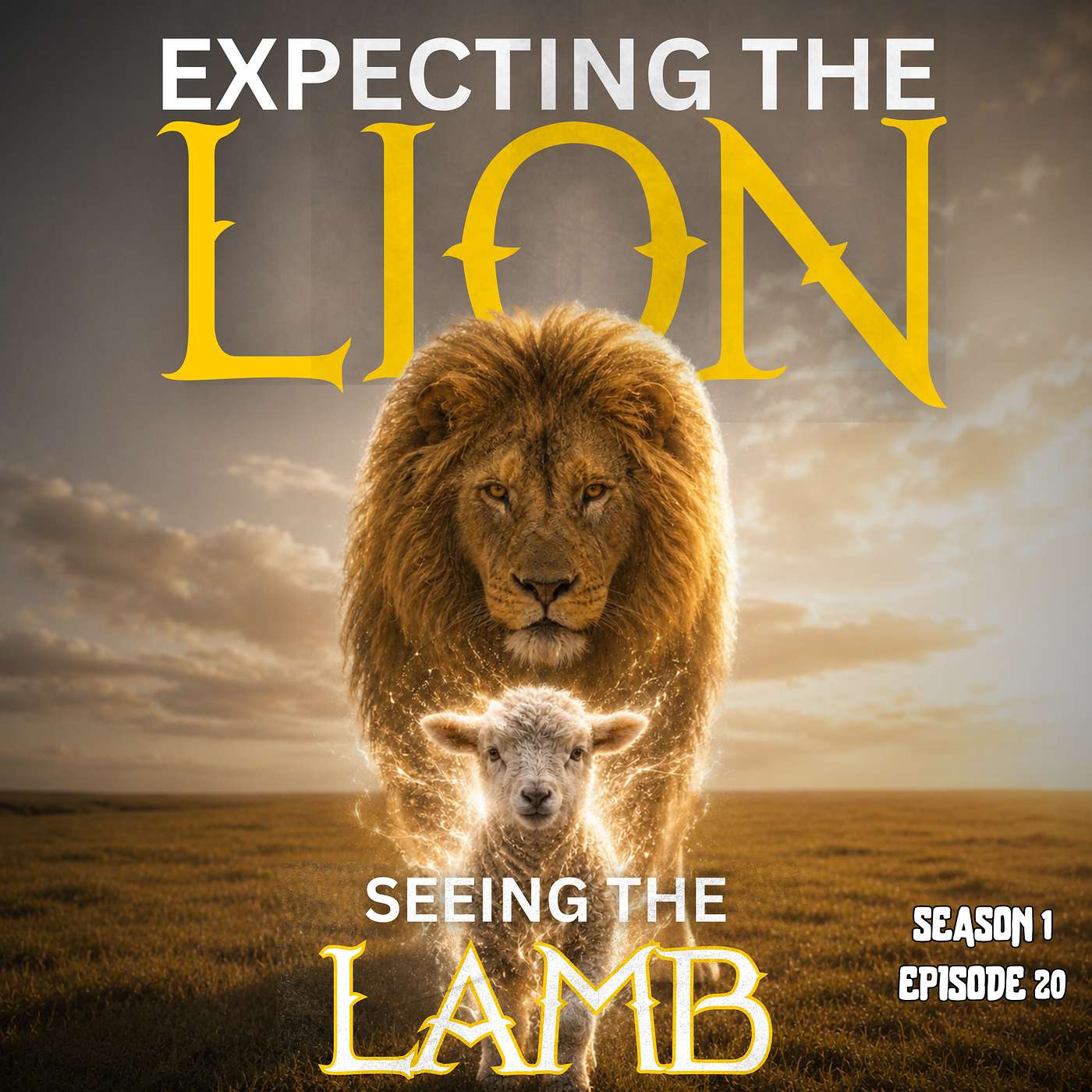 Expecting the Lion, Seeing the Lamb: VDT Part 8 episode artwork