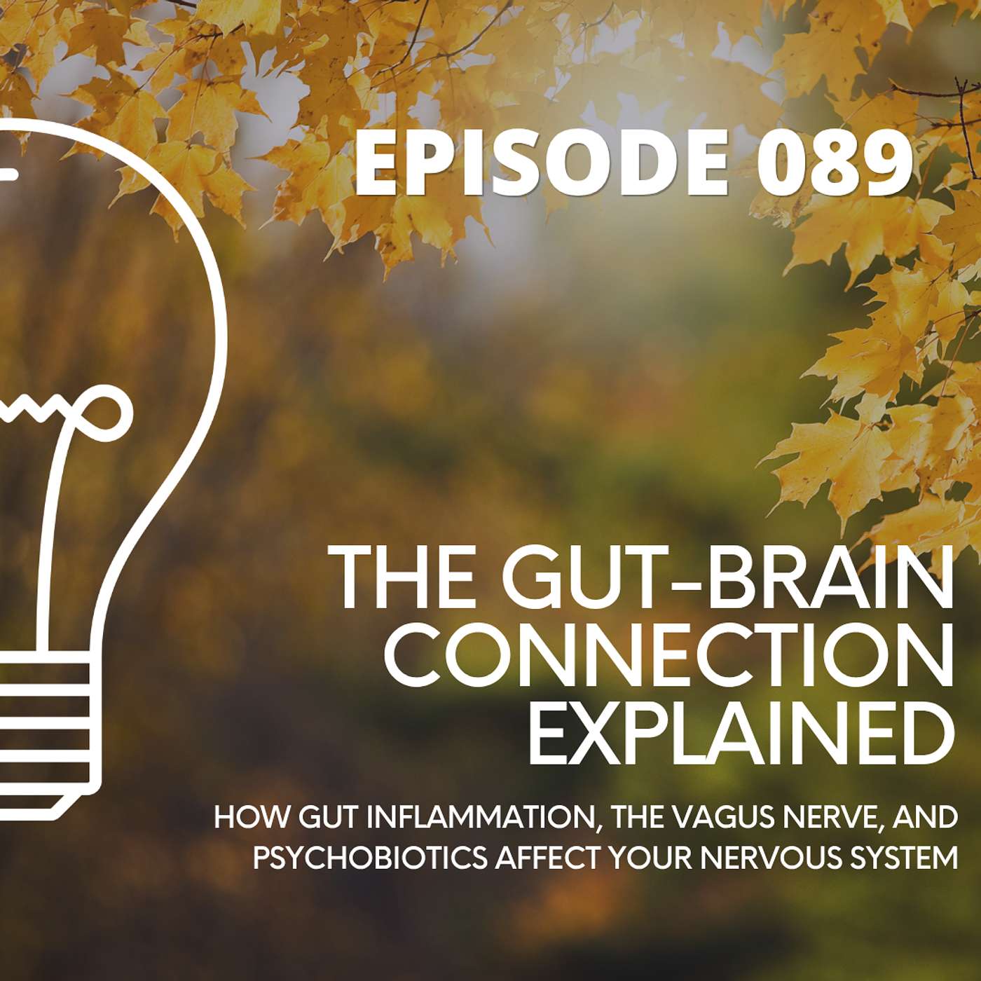 089 - The Gut-Brain Connection Explained - How Gut Inflammation, the Vagus Nerve, and Psychobiotics Affect Your Nervous System episode artwork