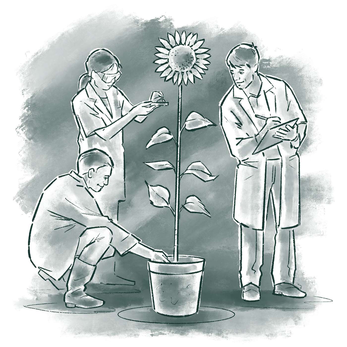 What plants can teach us