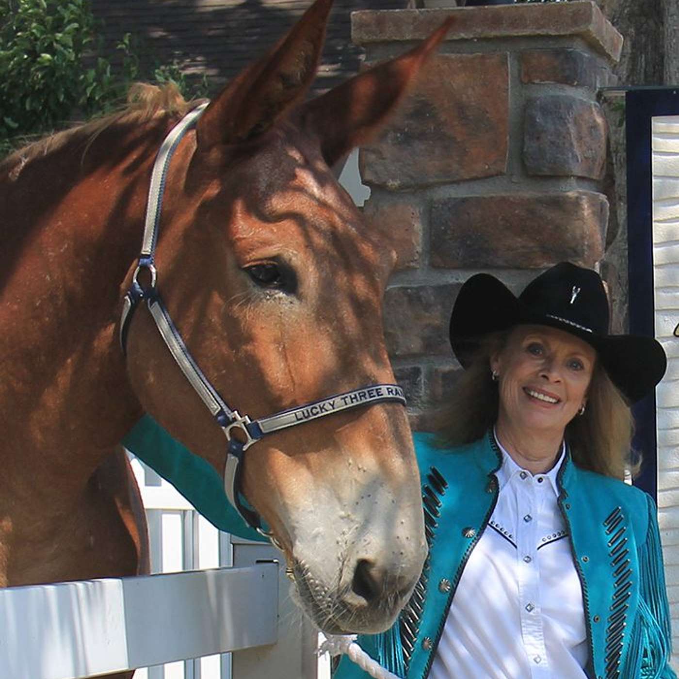MULE TALK! THE PODCAST ABOUT MULES, MULE TRAINING, AND THE MULE INDUSTRY.