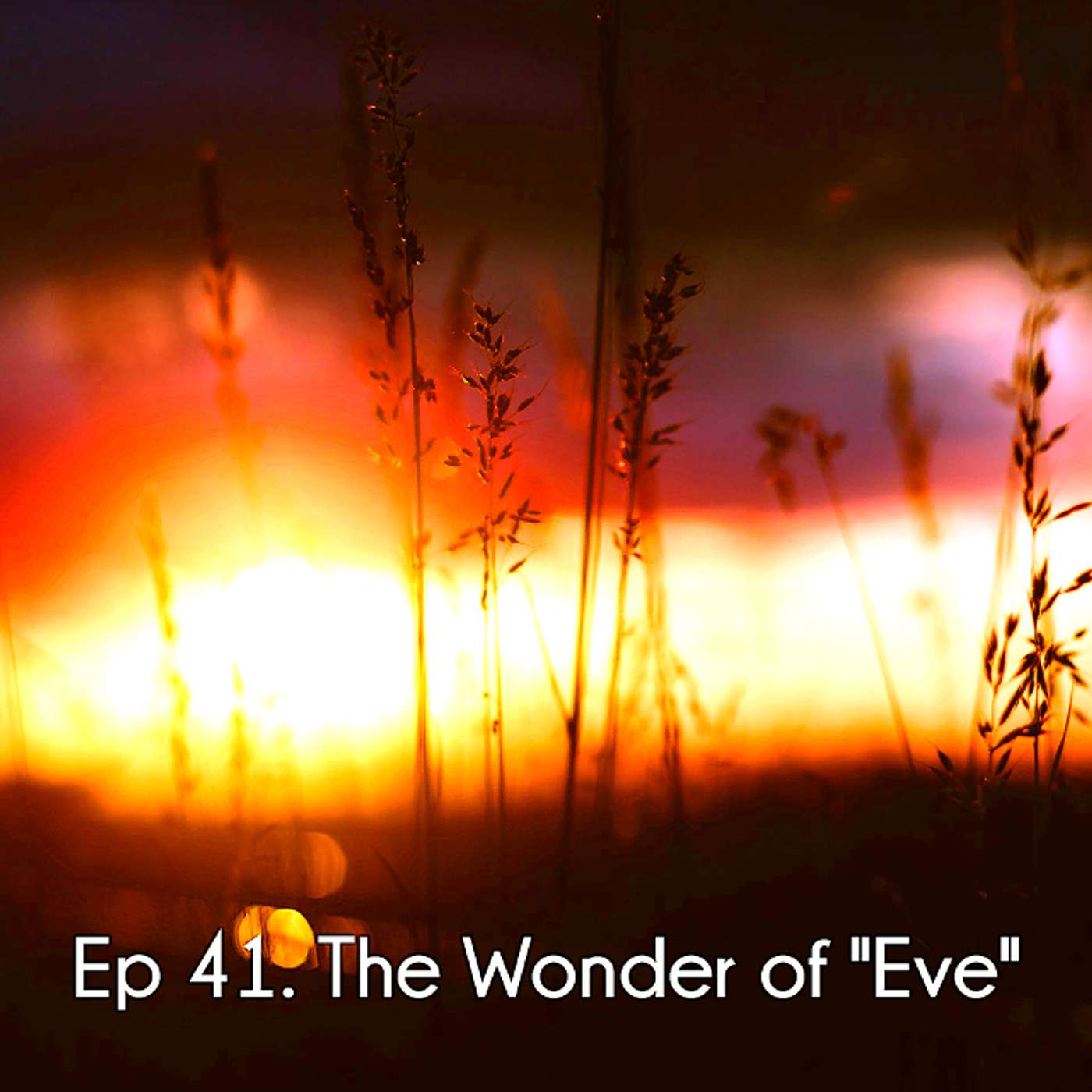 Ep 41. The Wonder of 