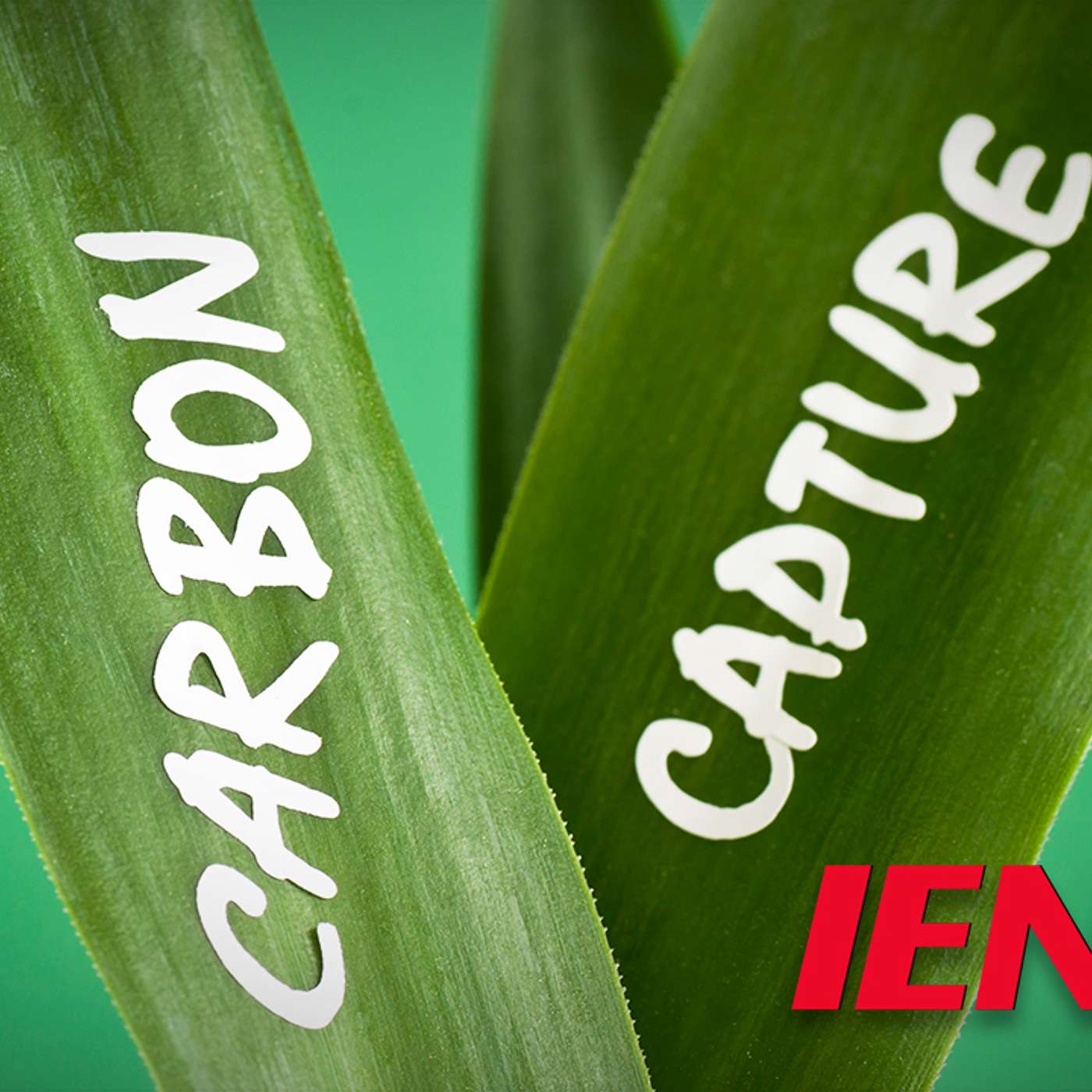 Musk Offers $100M for Carbon Capture Technology