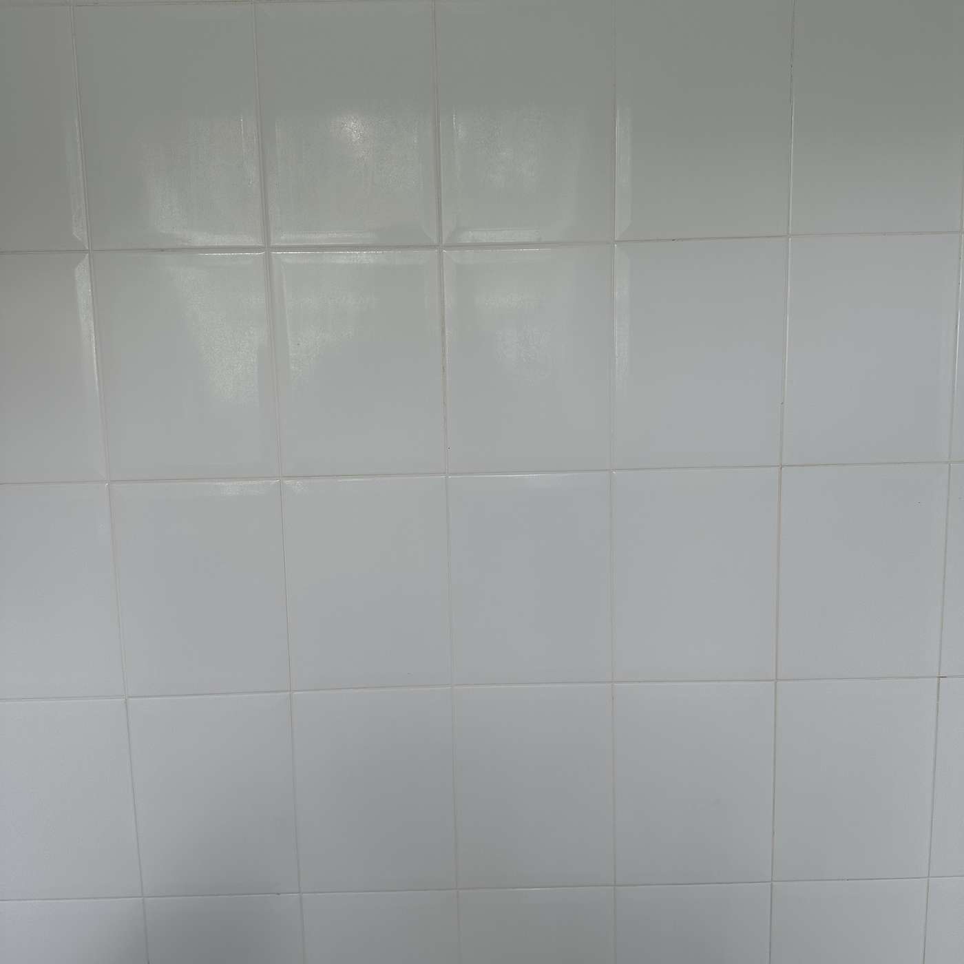 Cleaning the shower