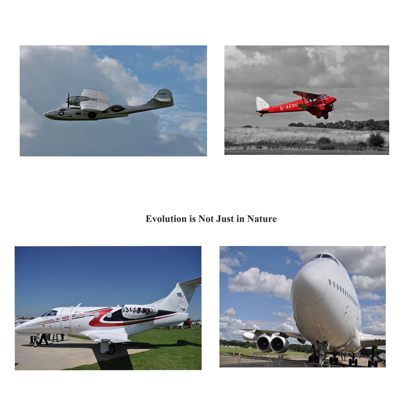 The Hangar Rat