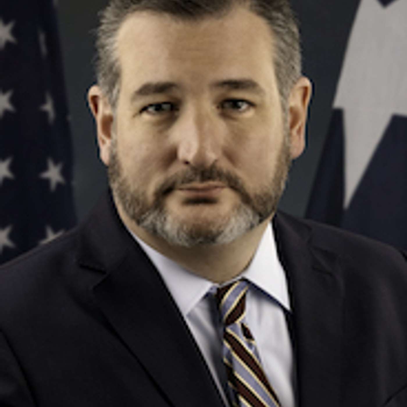 Eighteen Republican senators visit Rio Grande Valley episode artwork
