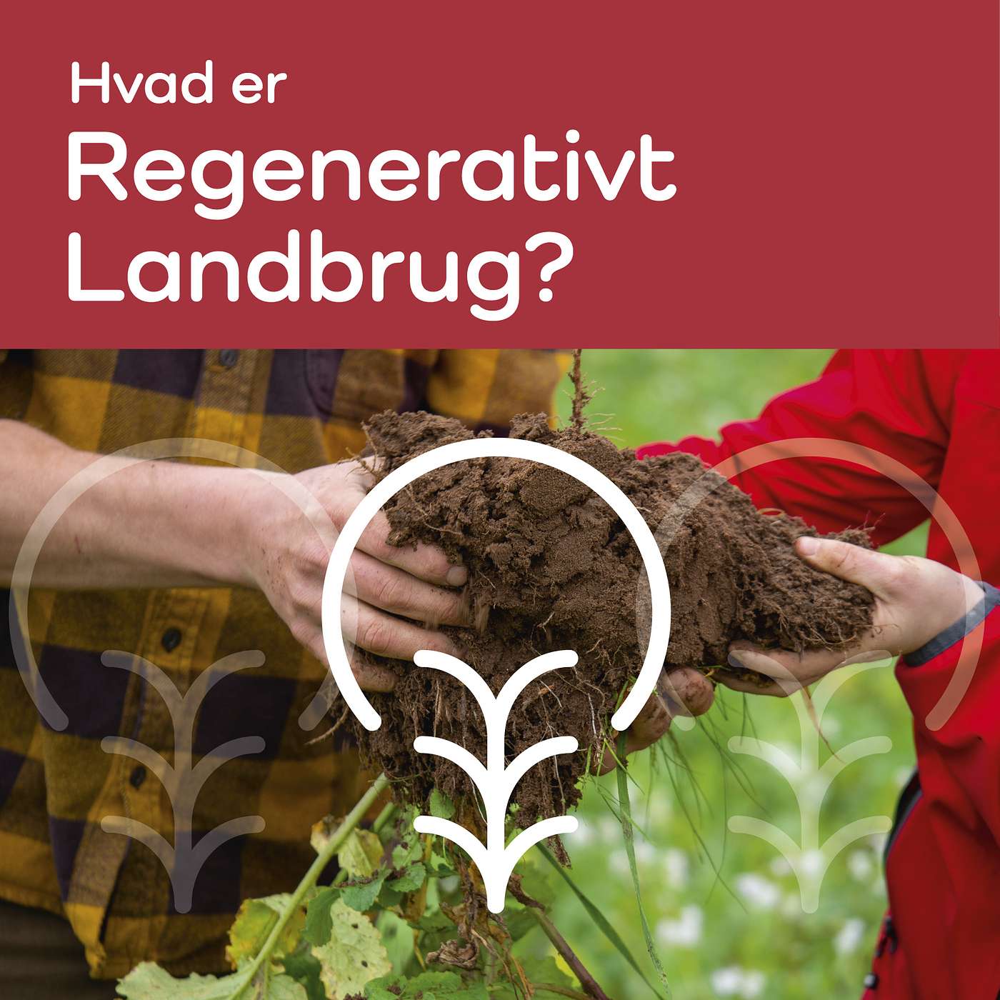 Hvad er regenerativt landbrug? Landmandens bud 2:6