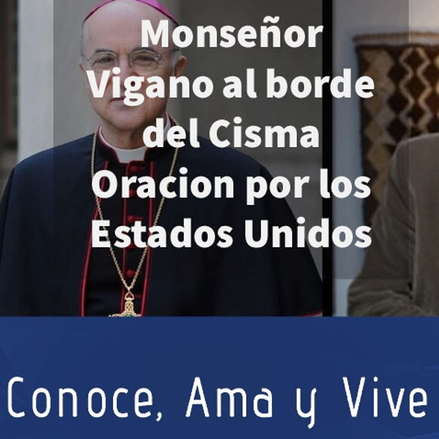 Episodio 298: 😔 Monseñor Vigano al borde del Cisma 😱 Vigano compone Oración por Estados Unidos 🙏 🇺🇸 episode artwork
