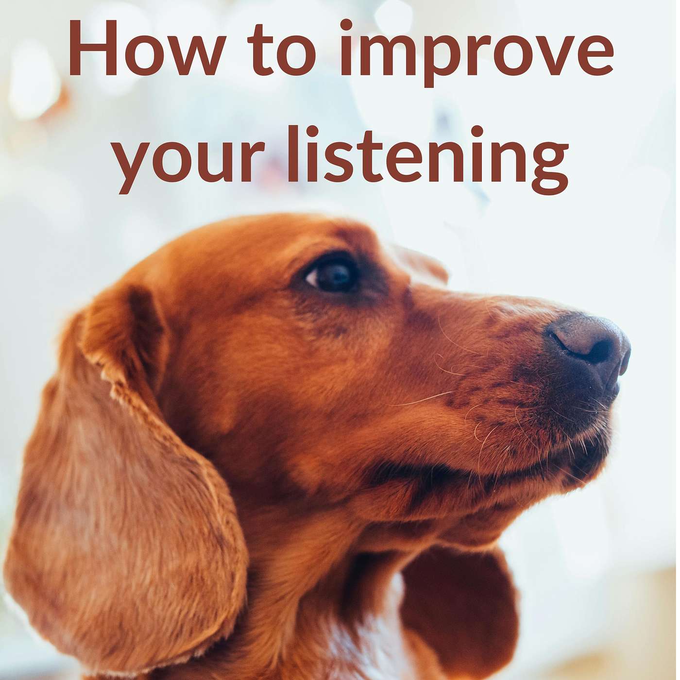 How To Improve Your English Listening At Advanced Level - A Conversation With Tree Blackmore