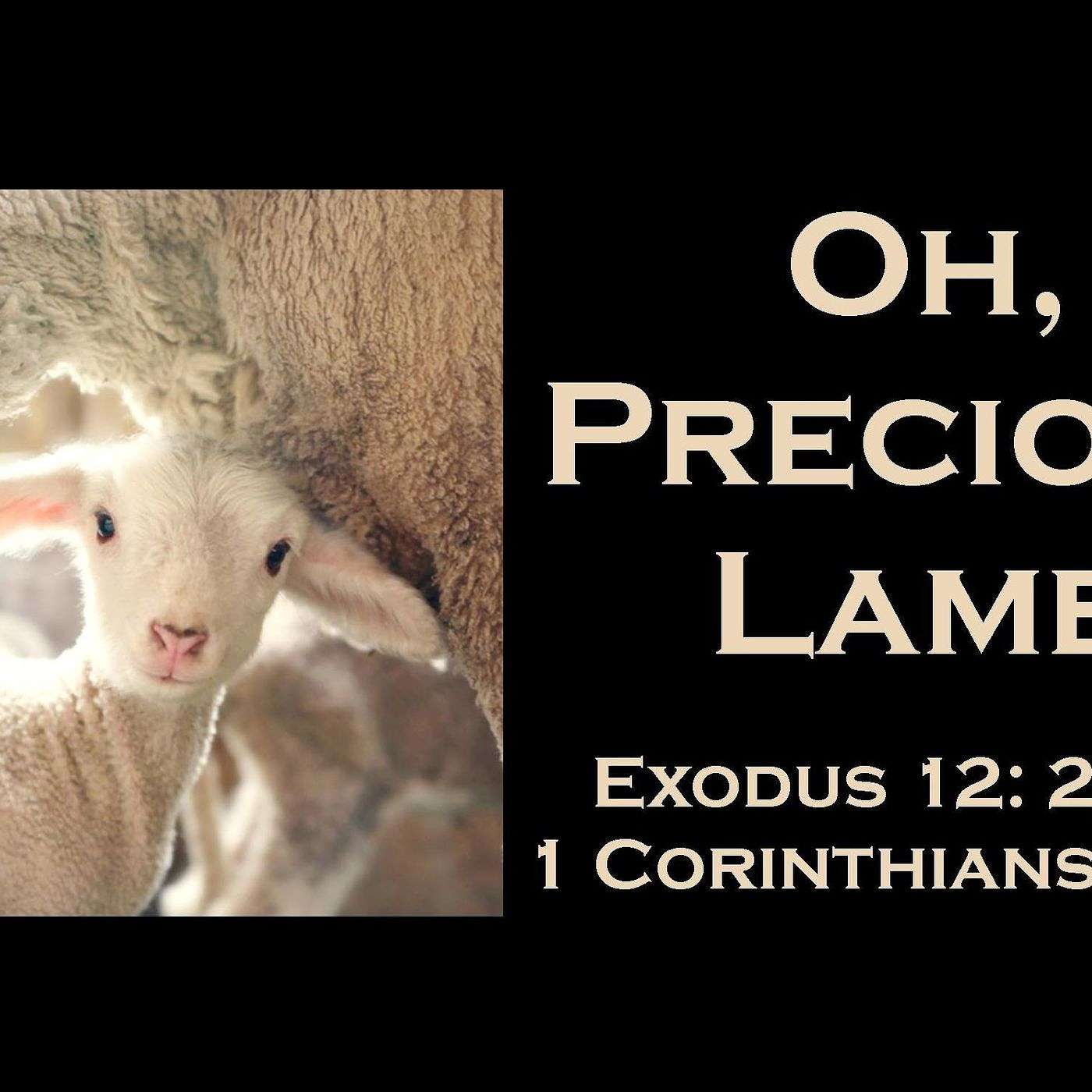 Pastor Jerry Laudermilk Audio Podcast