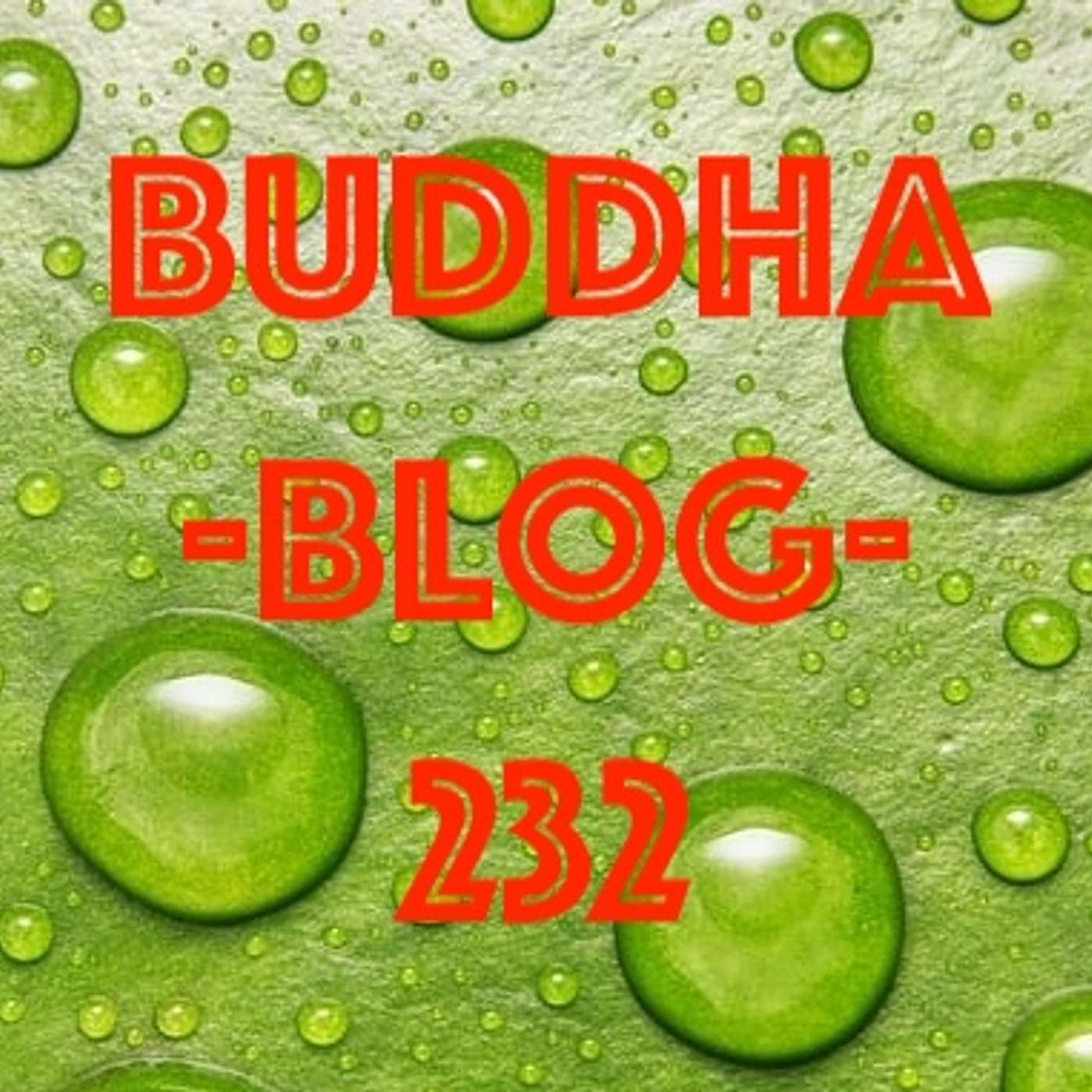 232-Der Weg zur Selbsterkenntnis - Buddha Blog - Buddhismus im Alltag