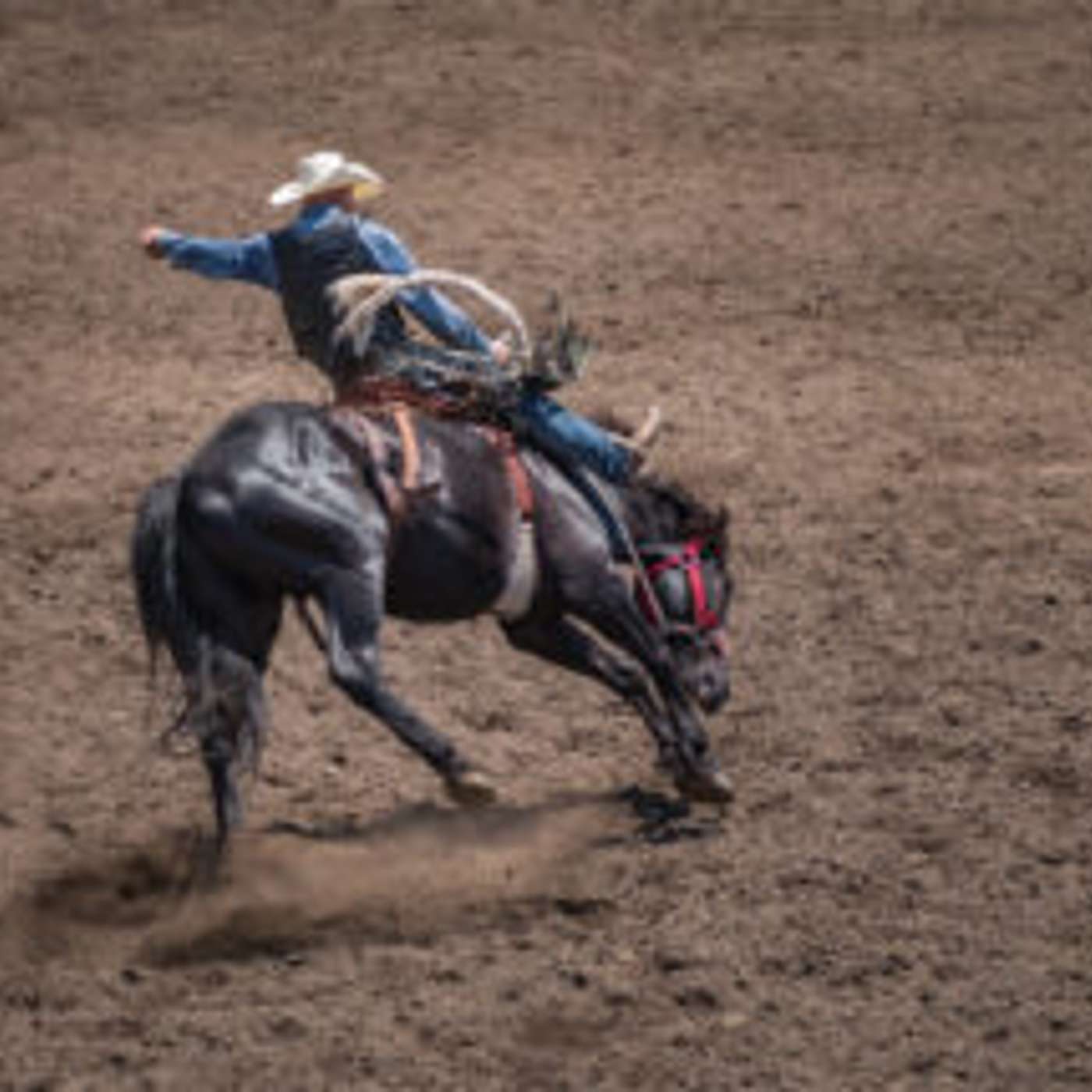 Prescott Wants Input on Rodeo/Fairgrounds Site Future