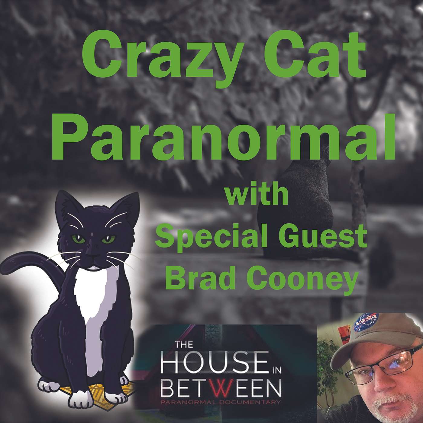 Crazy Cat Paranormal Speaks