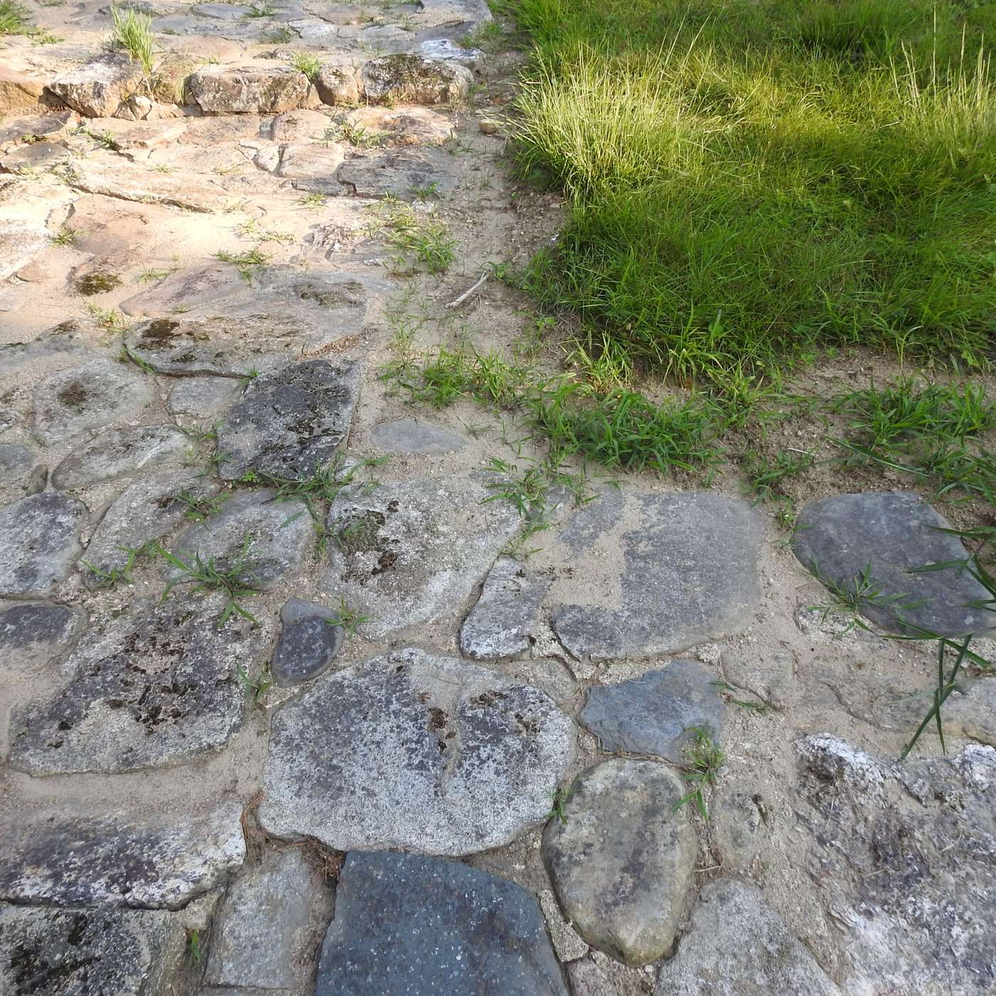 DISCOVERING THE OLD STONE PATH