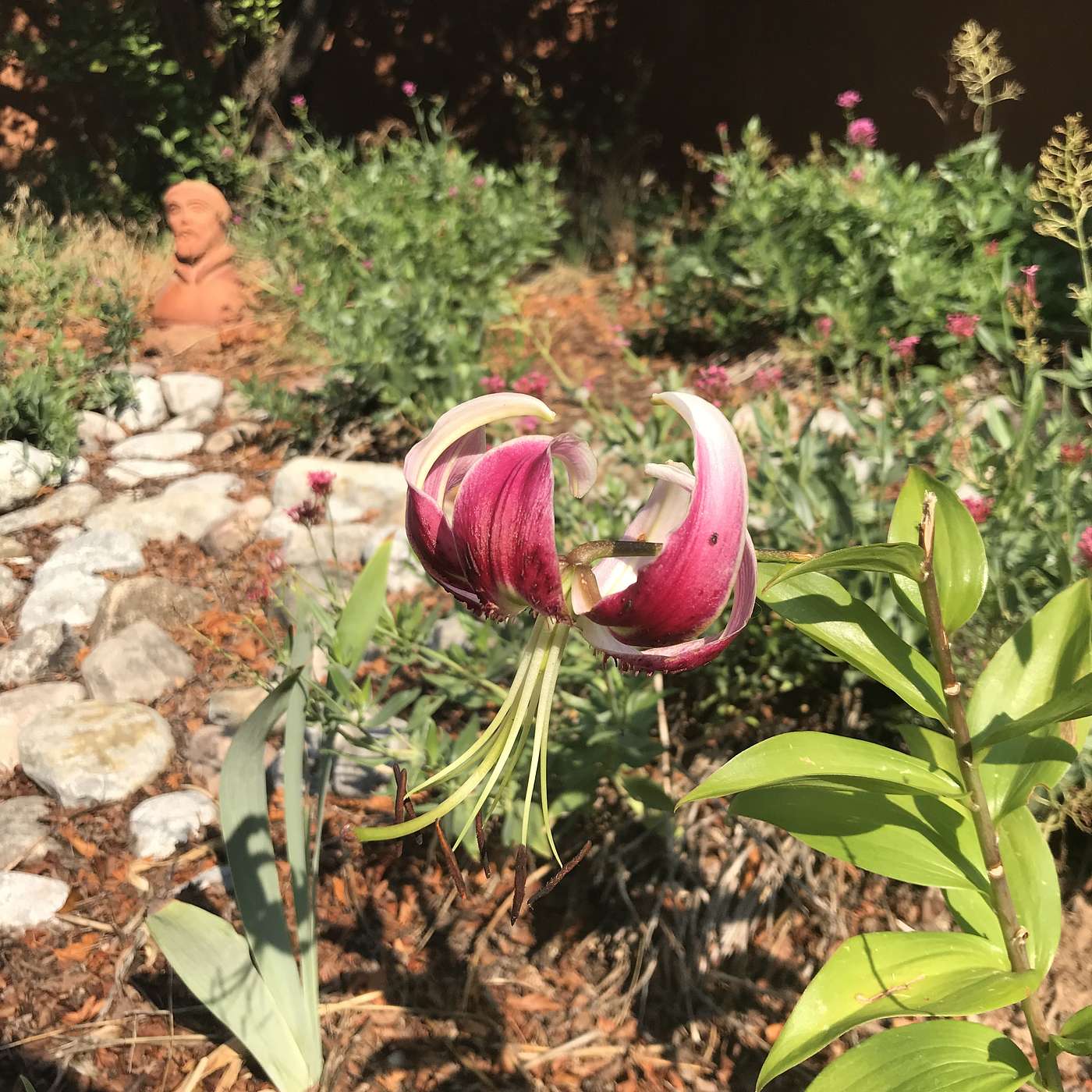 First Cup of Coffee - August 1, 2018