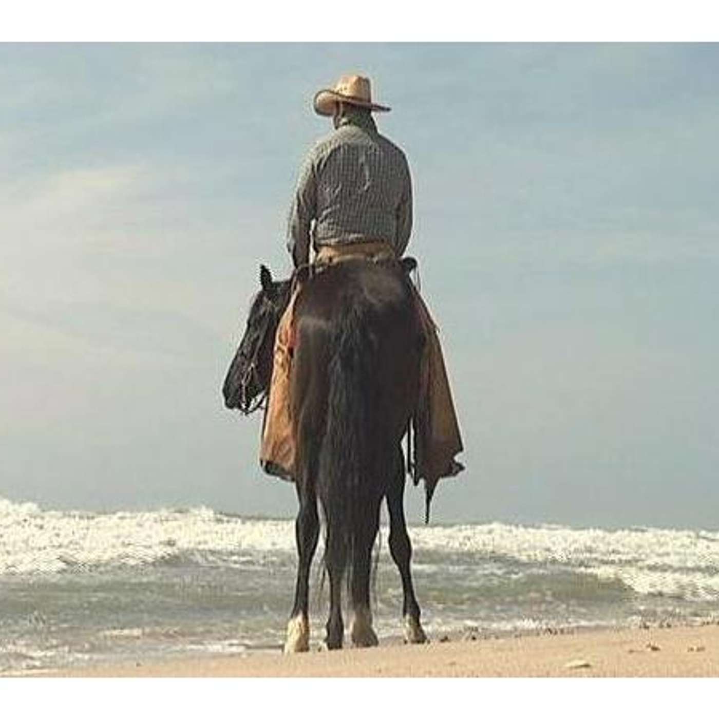 Matt Littrell THE LONG TRAIL HOME & ELKINS CREEK   on SADDLE UP AMERICA!
