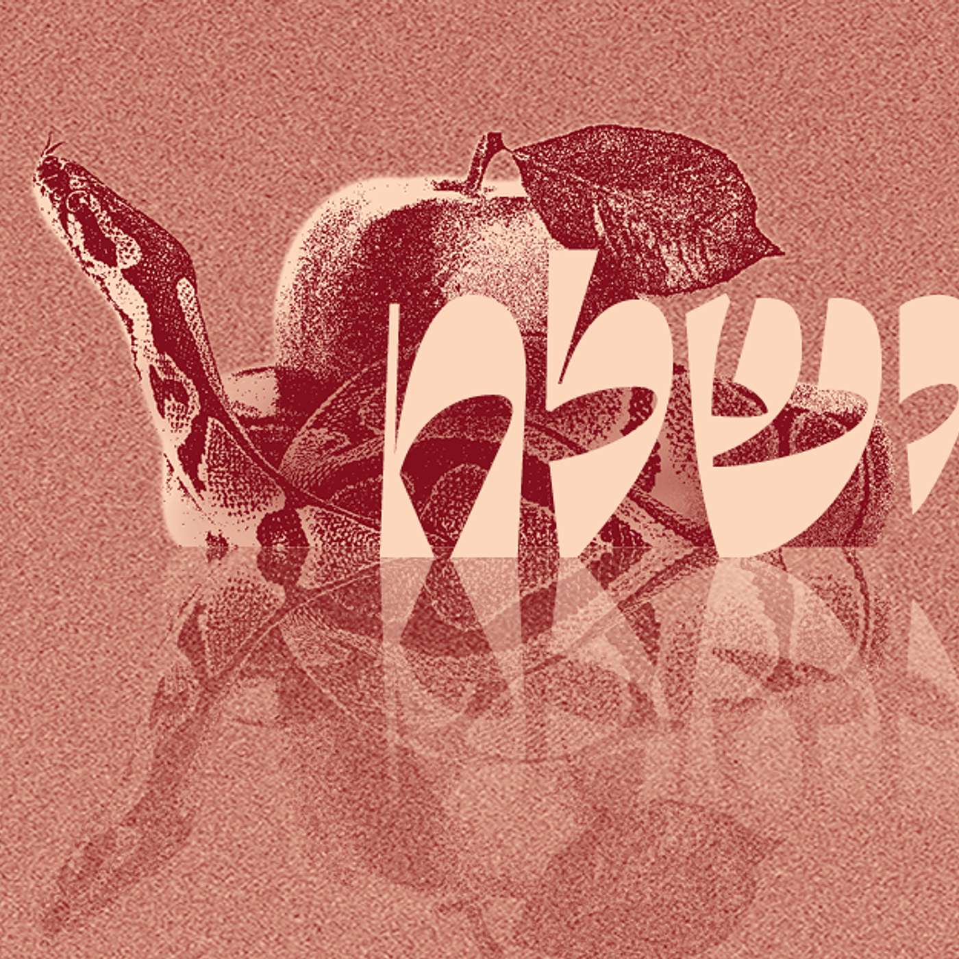 Parashat Vayishlach - Transformative Change | Rabbi Shai Finkelstein episode artwork
